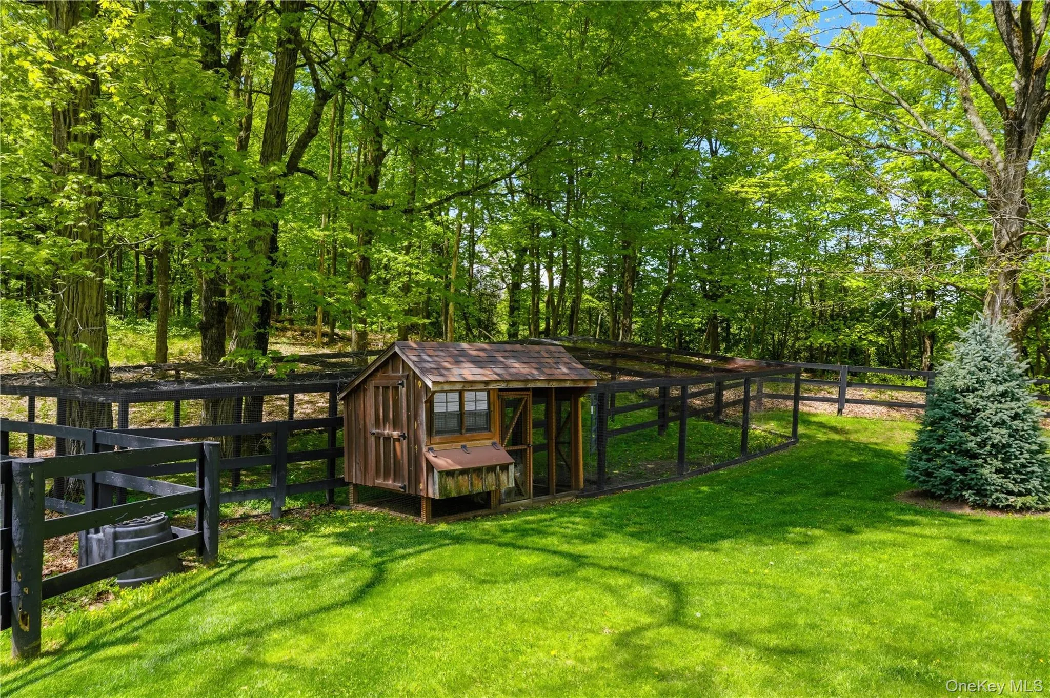 11 Haggerty Hill Road, Rhinebeck, NY, 3 Bedrooms Bedrooms, 8 Rooms Rooms,2 BathroomsBathrooms,Residential,For Rent,Haggerty Hill,0,997124 11 Haggerty Hill Road, Rhinebeck, NY, 3 Bedrooms Bedrooms, 8 Rooms Rooms,2 BathroomsBathrooms,Residential,For Rent,Haggerty Hill,0,997124
