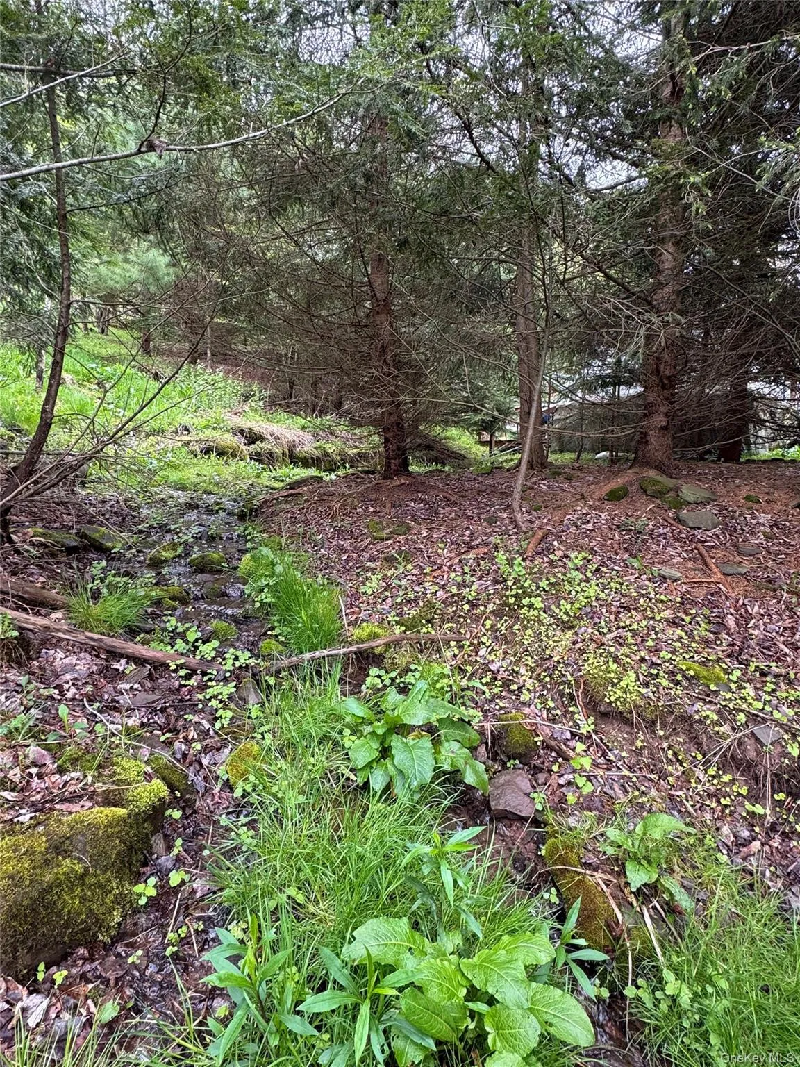 395 Federal Hill Rd 1, Delhi, NY, 2 Bedrooms Bedrooms, 5 Rooms Rooms,1 BathroomBathrooms,Residential Sale,For Rent,Federal Hill Rd 1,0,997147 395 Federal Hill Rd 1, Delhi, NY, 2 Bedrooms Bedrooms, 5 Rooms Rooms,1 BathroomBathrooms,Residential Sale,For Rent,Federal Hill Rd 1,0,997147