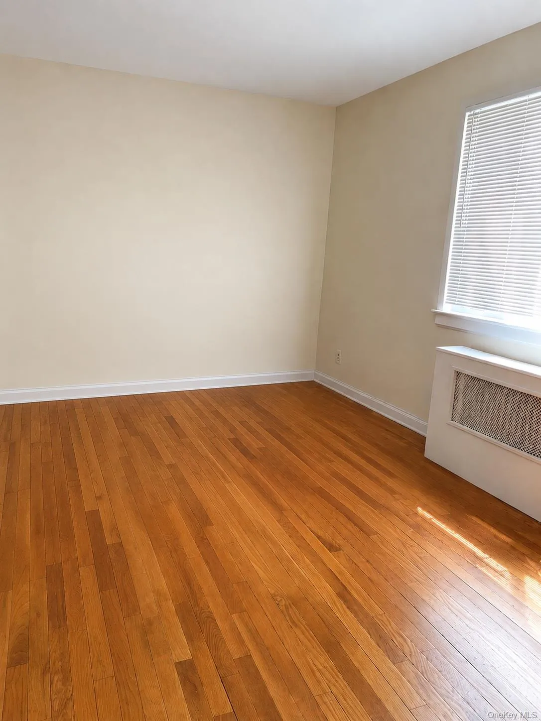 260-51 73rd Avenue, New York, NY, 1 Bedroom Bedrooms, 3 Rooms Rooms,1 BathroomBathrooms,Residential Lease,For Rent,73rd,0,997162 260-51 73rd Avenue, New York, NY, 1 Bedroom Bedrooms, 3 Rooms Rooms,1 BathroomBathrooms,Residential Lease,For Rent,73rd,0,997162