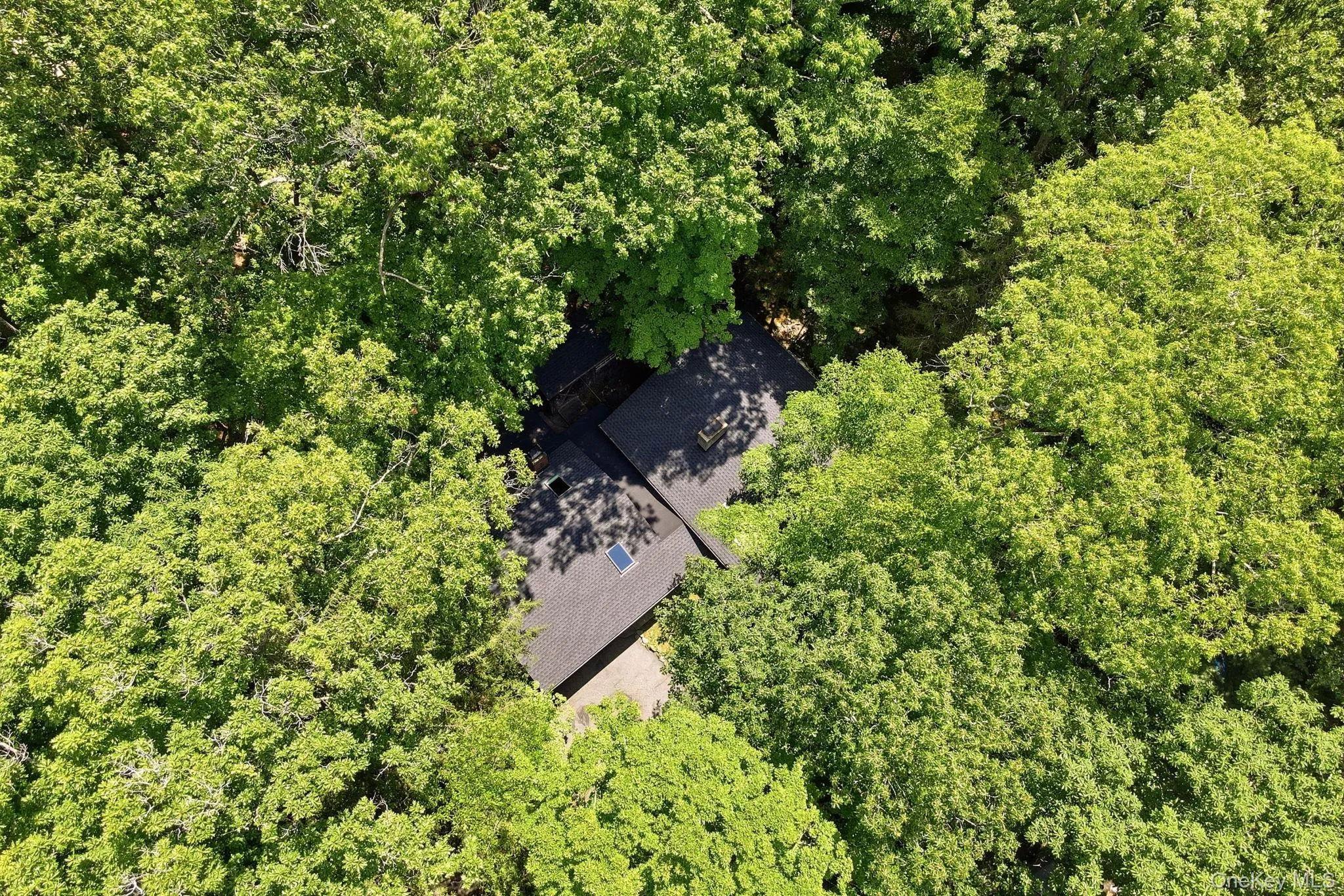 80 Clinton Road, Tuxedo, NY, 4 Bedrooms Bedrooms, 7 Rooms Rooms,2 BathroomsBathrooms,Residential,For Rent,Clinton,0,997183 80 Clinton Road, Tuxedo, NY, 4 Bedrooms Bedrooms, 7 Rooms Rooms,2 BathroomsBathrooms,Residential,For Rent,Clinton,0,997183