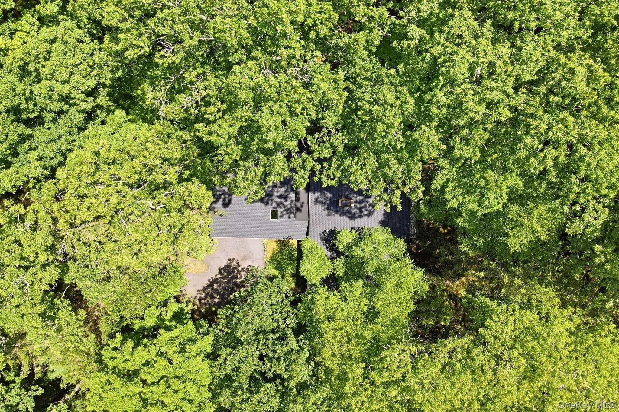 80 Clinton Road, Tuxedo, NY, 4 Bedrooms Bedrooms, 7 Rooms Rooms,2 BathroomsBathrooms,Residential,For Rent,Clinton,0,997183 80 Clinton Road, Tuxedo, NY, 4 Bedrooms Bedrooms, 7 Rooms Rooms,2 BathroomsBathrooms,Residential,For Rent,Clinton,0,997183