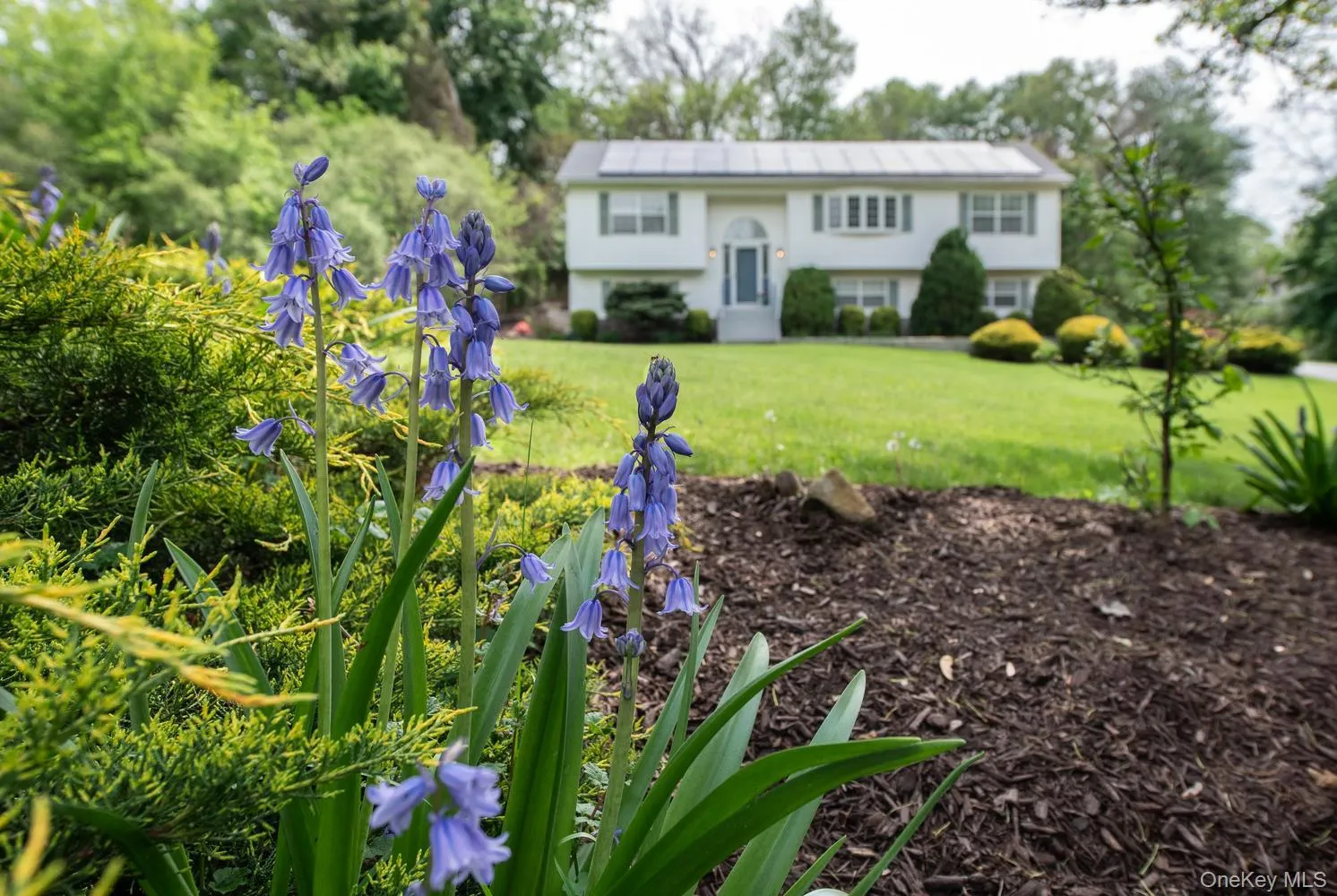 17 Verplanck Avenue, East Fishkill, NY, 3 Bedrooms Bedrooms, 11 Rooms Rooms,3 BathroomsBathrooms,Residential,For Rent,Verplanck,0,997287 17 Verplanck Avenue, East Fishkill, NY, 3 Bedrooms Bedrooms, 11 Rooms Rooms,3 BathroomsBathrooms,Residential,For Rent,Verplanck,0,997287