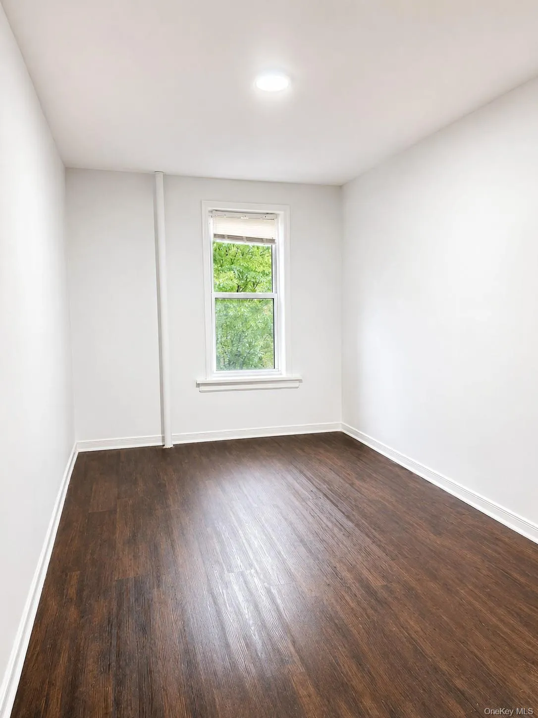 206 Hoyt Street, New York, NY, 2 Bedrooms Bedrooms, 5 Rooms Rooms,1 BathroomBathrooms,Residential Lease,For Rent,Hoyt,0,997308 206 Hoyt Street, New York, NY, 2 Bedrooms Bedrooms, 5 Rooms Rooms,1 BathroomBathrooms,Residential Lease,For Rent,Hoyt,0,997308