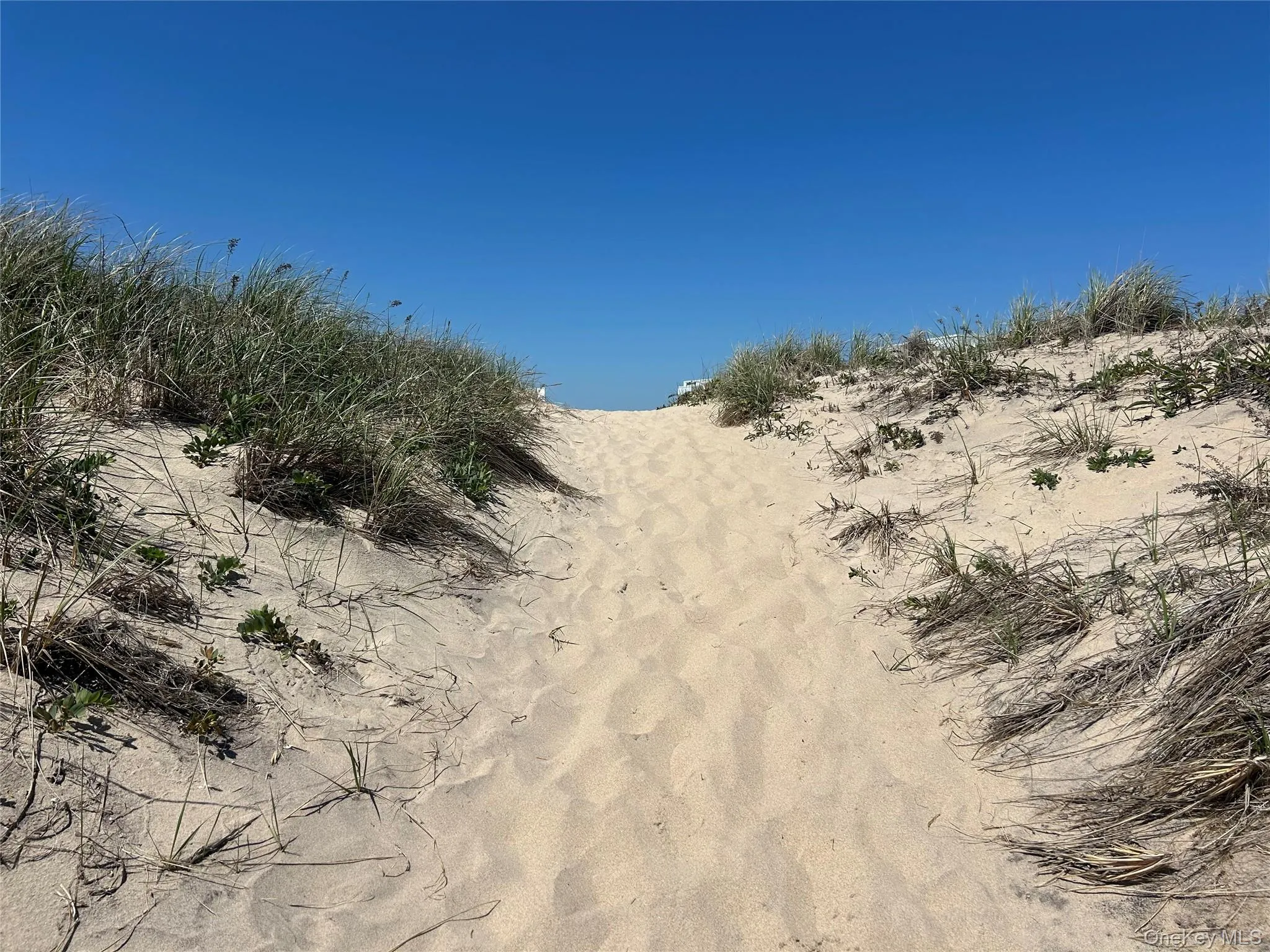 2136 Montauk, East Hampton, NY, 1 Room Rooms,1 BathroomBathrooms,Residential Sale,For Rent,Montauk,0,997313 2136 Montauk, East Hampton, NY, 1 Room Rooms,1 BathroomBathrooms,Residential Sale,For Rent,Montauk,0,997313