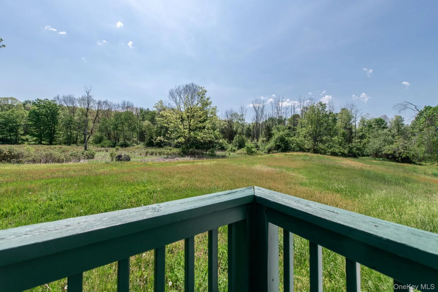 Backyard View Backyard View
