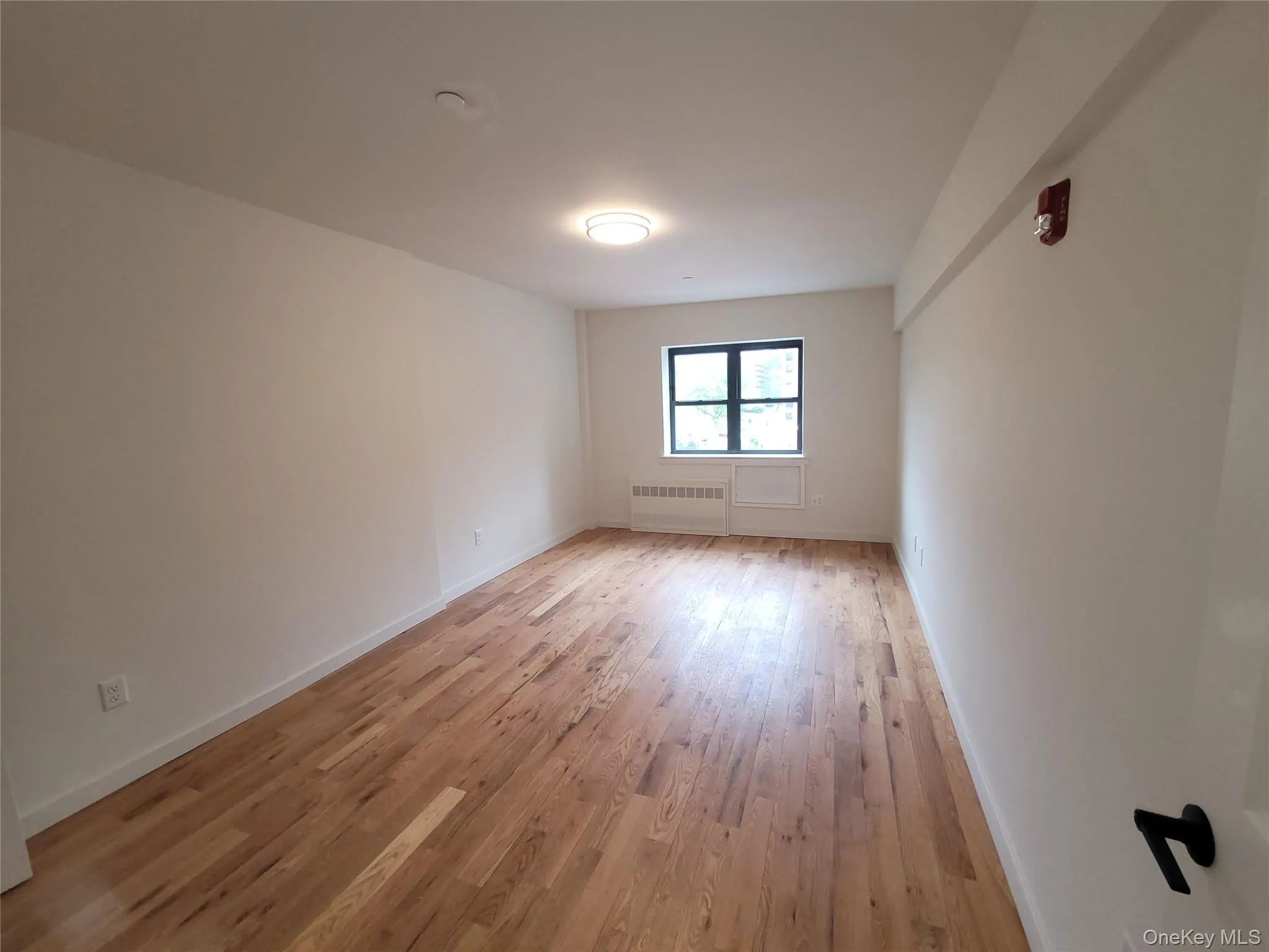 Spacious room featuring wood-finish flooring, white baseboards, and a large window with black framing Spacious room featuring wood-finish flooring, white baseboards, and a large window with black framing