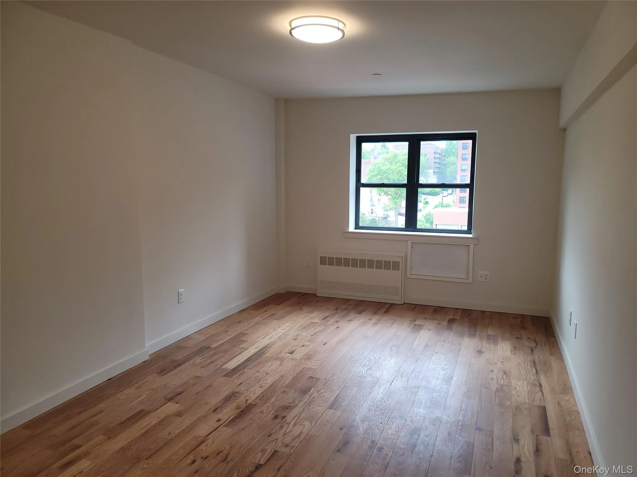 Open room featuring light wood-finish flooring, a modern flush-mount ceiling light, white baseboards, and a black-framed window Open room featuring light wood-finish flooring, a modern flush-mount ceiling light, white baseboards, and a black-framed window