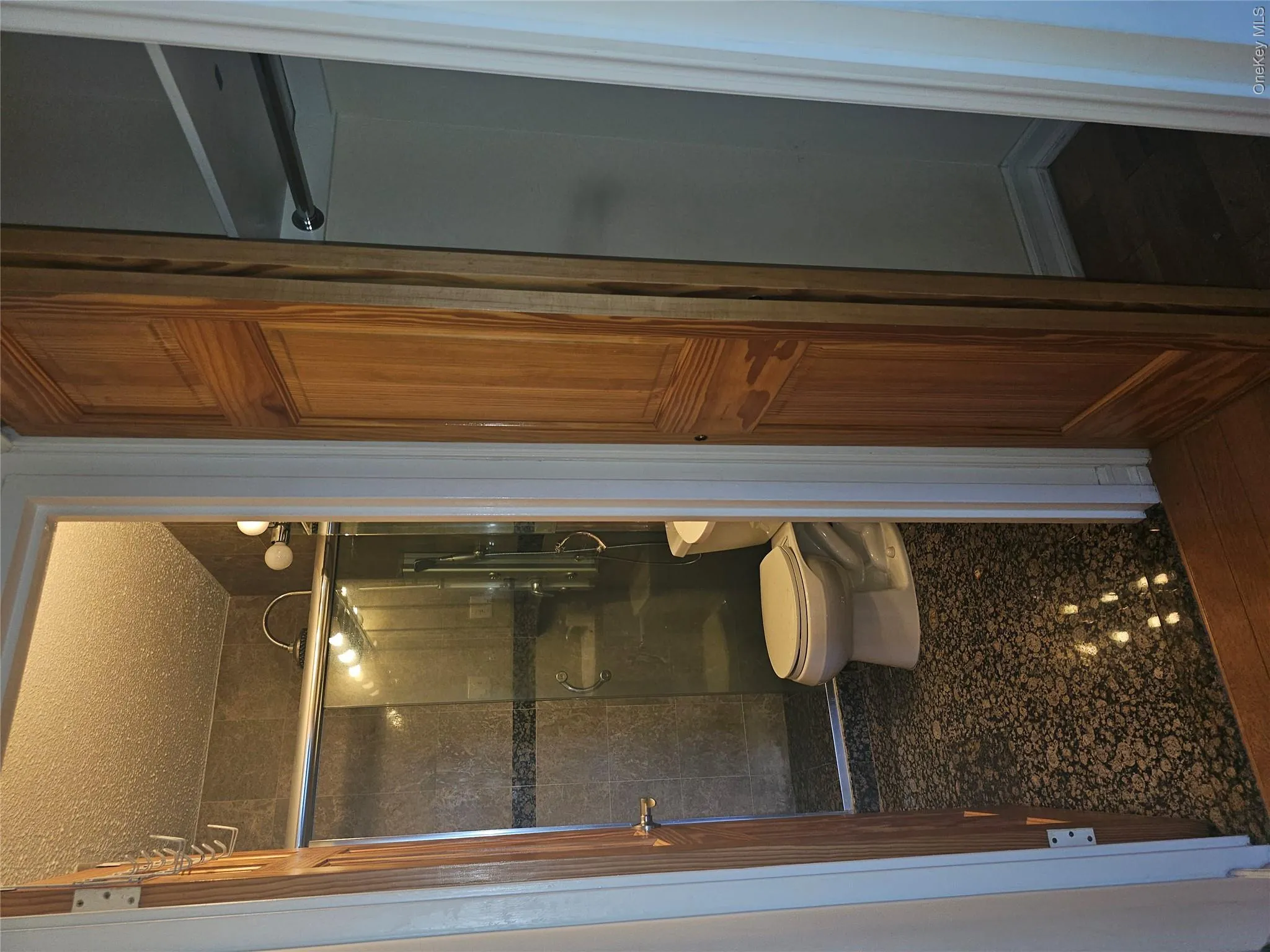 Bathroom featuring a glass-enclosed shower, dark patterned tile flooring, and dark wall tiling with a decorative accent band Bathroom featuring a glass-enclosed shower, dark patterned tile flooring, and dark wall tiling with a decorative accent band