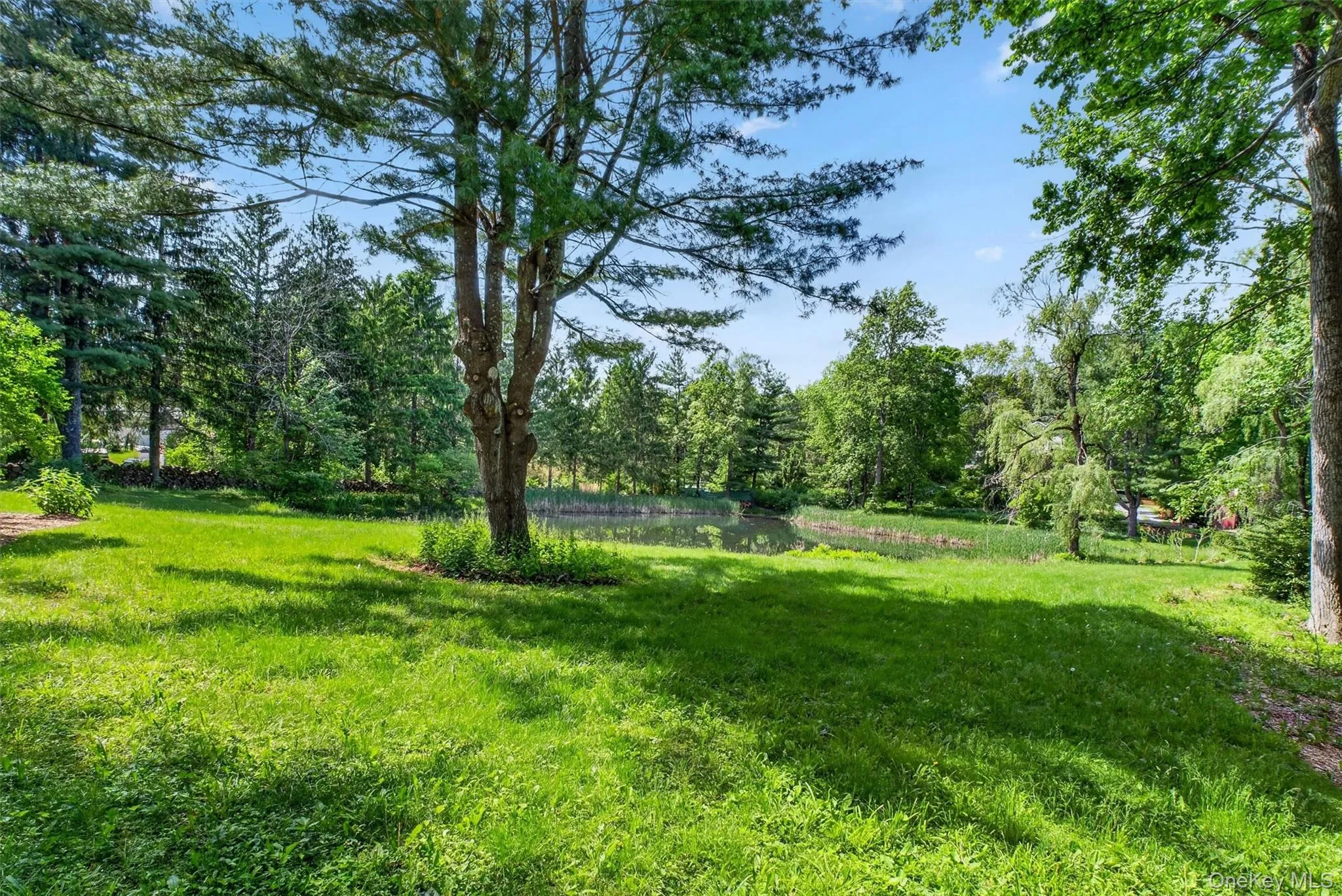 60 Eddy Road, Union Vale, NY, 4 Bedrooms Bedrooms, 9 Rooms Rooms,2 BathroomsBathrooms,Residential,For Rent,Eddy,0,997457 60 Eddy Road, Union Vale, NY, 4 Bedrooms Bedrooms, 9 Rooms Rooms,2 BathroomsBathrooms,Residential,For Rent,Eddy,0,997457