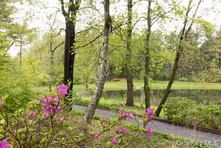 60 Eddy Road, Union Vale, NY, 4 Bedrooms Bedrooms, 9 Rooms Rooms,2 BathroomsBathrooms,Residential,For Rent,Eddy,0,997457 60 Eddy Road, Union Vale, NY, 4 Bedrooms Bedrooms, 9 Rooms Rooms,2 BathroomsBathrooms,Residential,For Rent,Eddy,0,997457