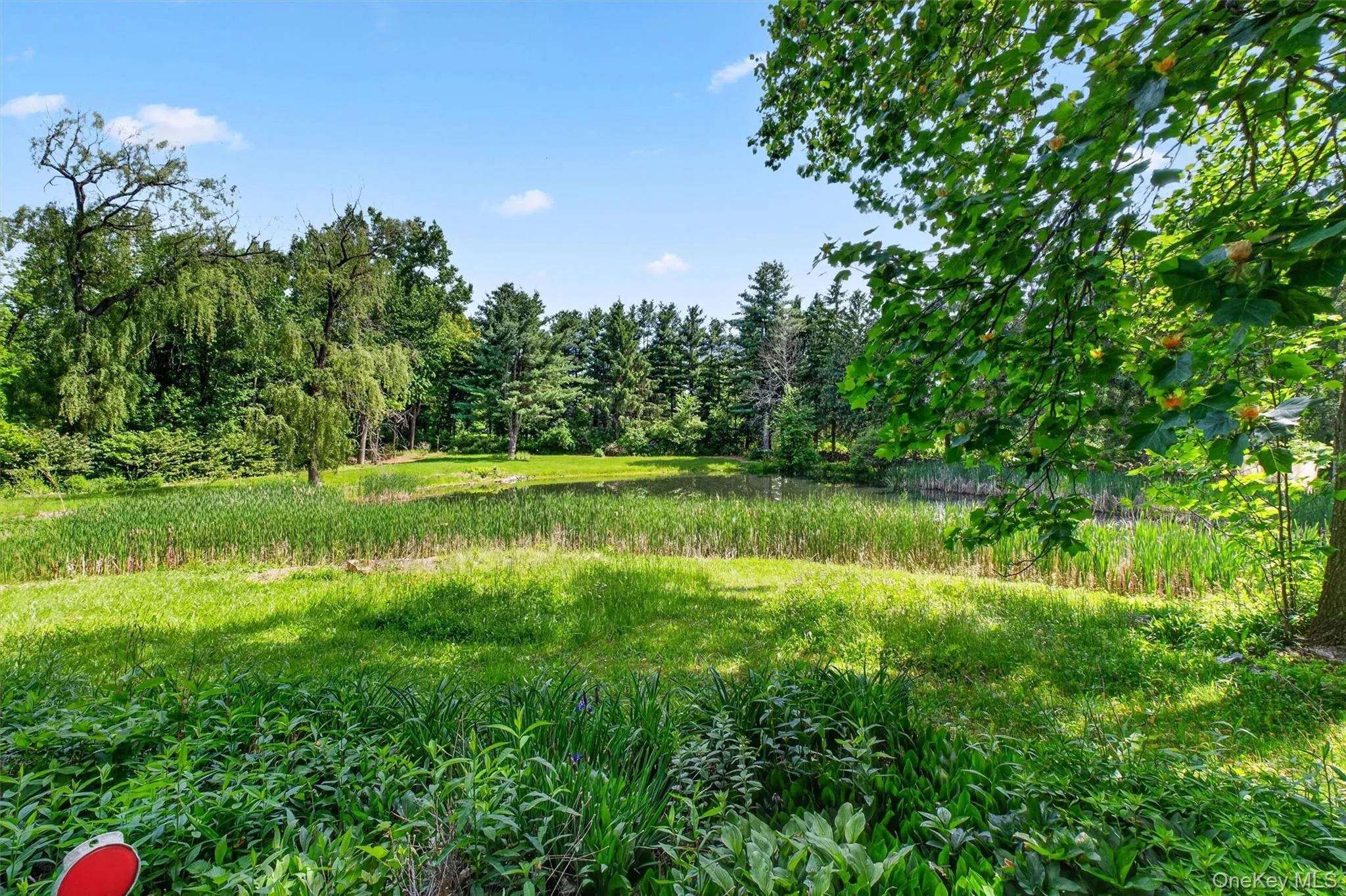 60 Eddy Road, Union Vale, NY, 4 Bedrooms Bedrooms, 9 Rooms Rooms,2 BathroomsBathrooms,Residential,For Rent,Eddy,0,997457 60 Eddy Road, Union Vale, NY, 4 Bedrooms Bedrooms, 9 Rooms Rooms,2 BathroomsBathrooms,Residential,For Rent,Eddy,0,997457