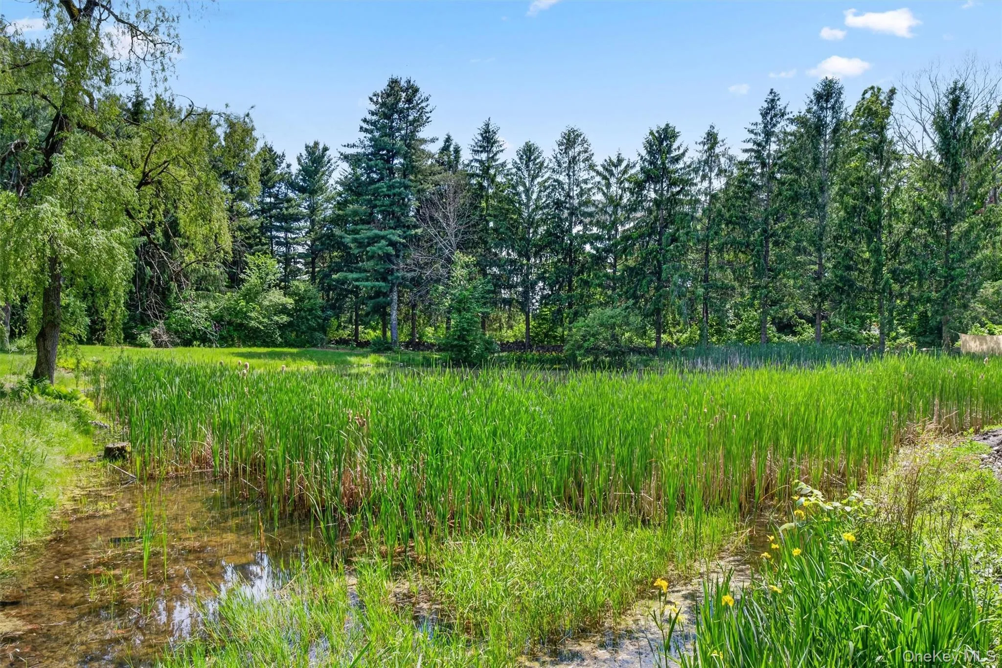 60 Eddy Road, Union Vale, NY, 4 Bedrooms Bedrooms, 9 Rooms Rooms,2 BathroomsBathrooms,Residential,For Rent,Eddy,0,997457 60 Eddy Road, Union Vale, NY, 4 Bedrooms Bedrooms, 9 Rooms Rooms,2 BathroomsBathrooms,Residential,For Rent,Eddy,0,997457
