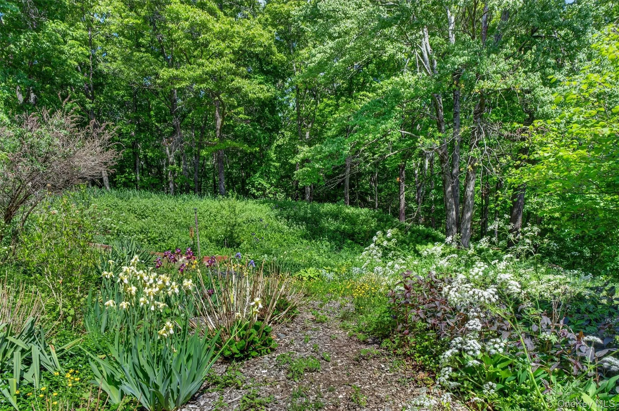 60 Eddy Road, Union Vale, NY, 4 Bedrooms Bedrooms, 9 Rooms Rooms,2 BathroomsBathrooms,Residential,For Rent,Eddy,0,997457 60 Eddy Road, Union Vale, NY, 4 Bedrooms Bedrooms, 9 Rooms Rooms,2 BathroomsBathrooms,Residential,For Rent,Eddy,0,997457