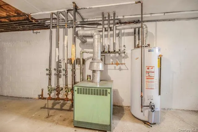 Boiler system and water heater installation with exposed piping Boiler system and water heater installation with exposed piping
