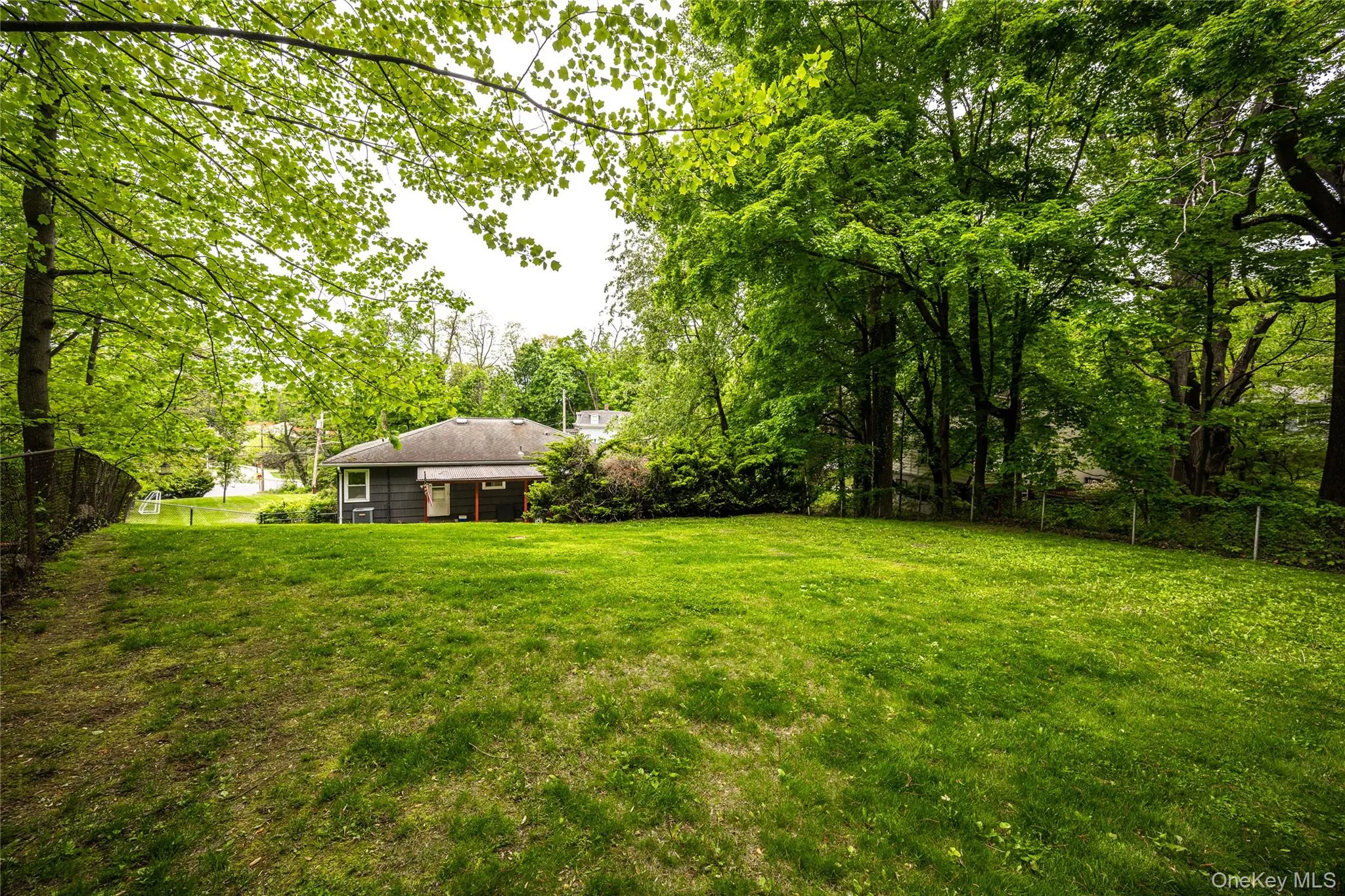 Backyard Backyard