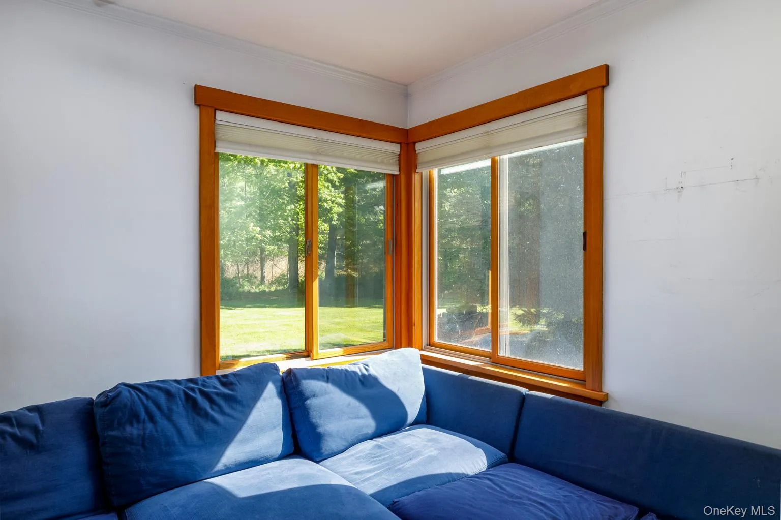 208 Tinker Street, Woodstock, NY, 2 Bedrooms Bedrooms, 6 Rooms Rooms,1 BathroomBathrooms,Residential Sale,For Rent,Tinker,0,997531 208 Tinker Street, Woodstock, NY, 2 Bedrooms Bedrooms, 6 Rooms Rooms,1 BathroomBathrooms,Residential Sale,For Rent,Tinker,0,997531
