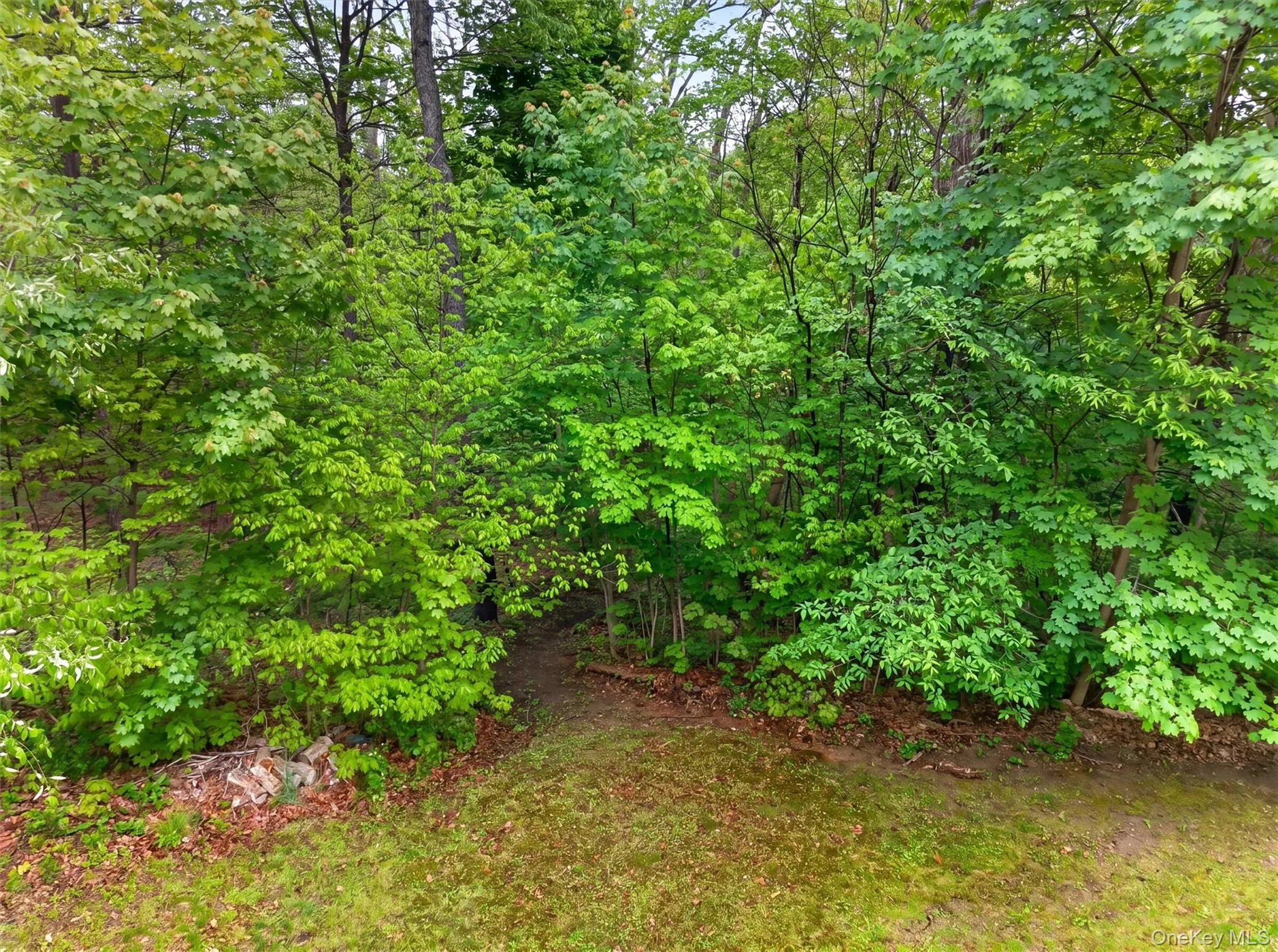 63 Hubshop Road, Blooming Grove, NY, 4 Bedrooms Bedrooms, 10 Rooms Rooms,2 BathroomsBathrooms,Residential,For Rent,Hubshop,0,997559 63 Hubshop Road, Blooming Grove, NY, 4 Bedrooms Bedrooms, 10 Rooms Rooms,2 BathroomsBathrooms,Residential,For Rent,Hubshop,0,997559