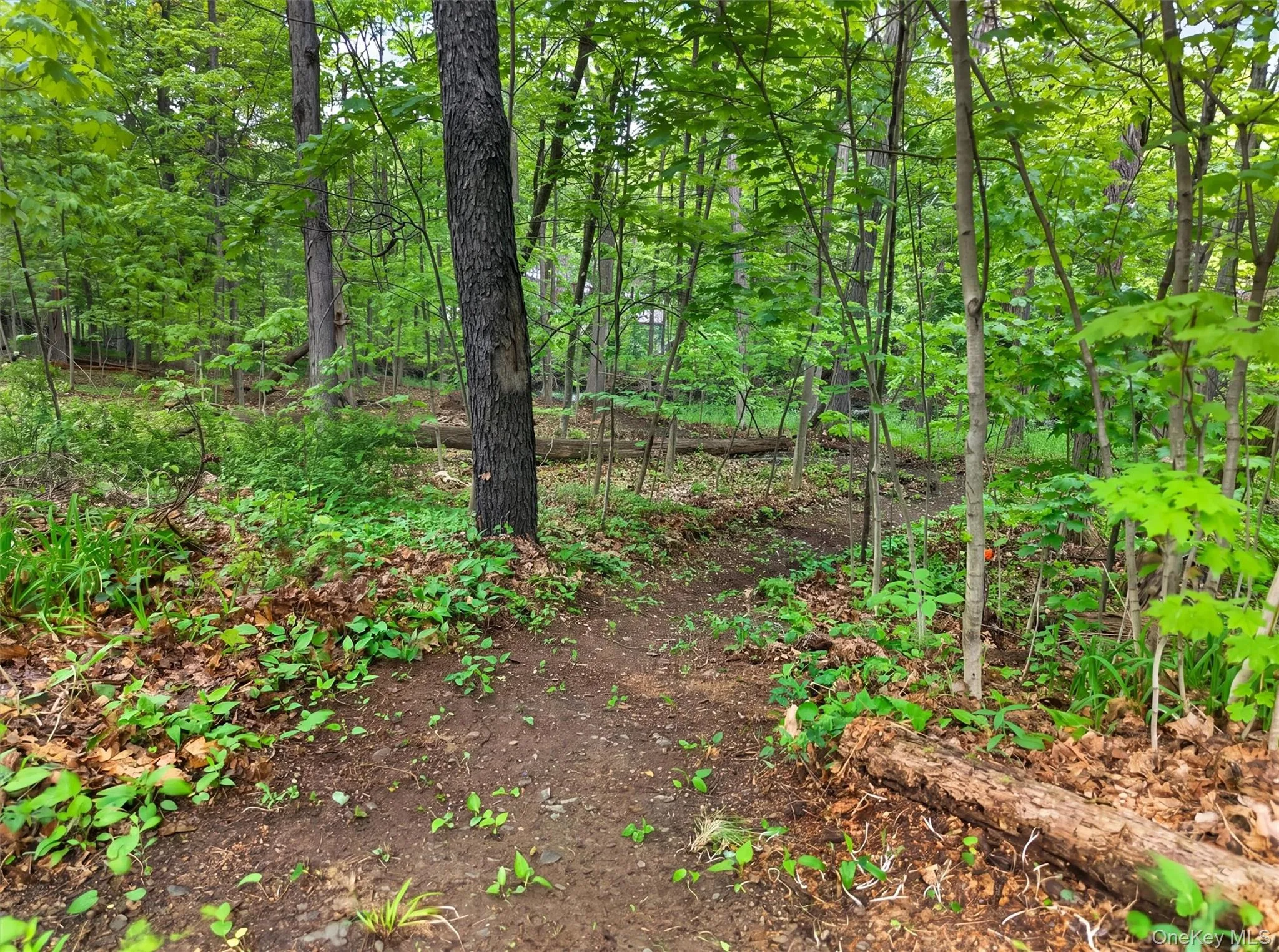 63 Hubshop Road, Blooming Grove, NY, 4 Bedrooms Bedrooms, 10 Rooms Rooms,2 BathroomsBathrooms,Residential,For Rent,Hubshop,0,997559 63 Hubshop Road, Blooming Grove, NY, 4 Bedrooms Bedrooms, 10 Rooms Rooms,2 BathroomsBathrooms,Residential,For Rent,Hubshop,0,997559