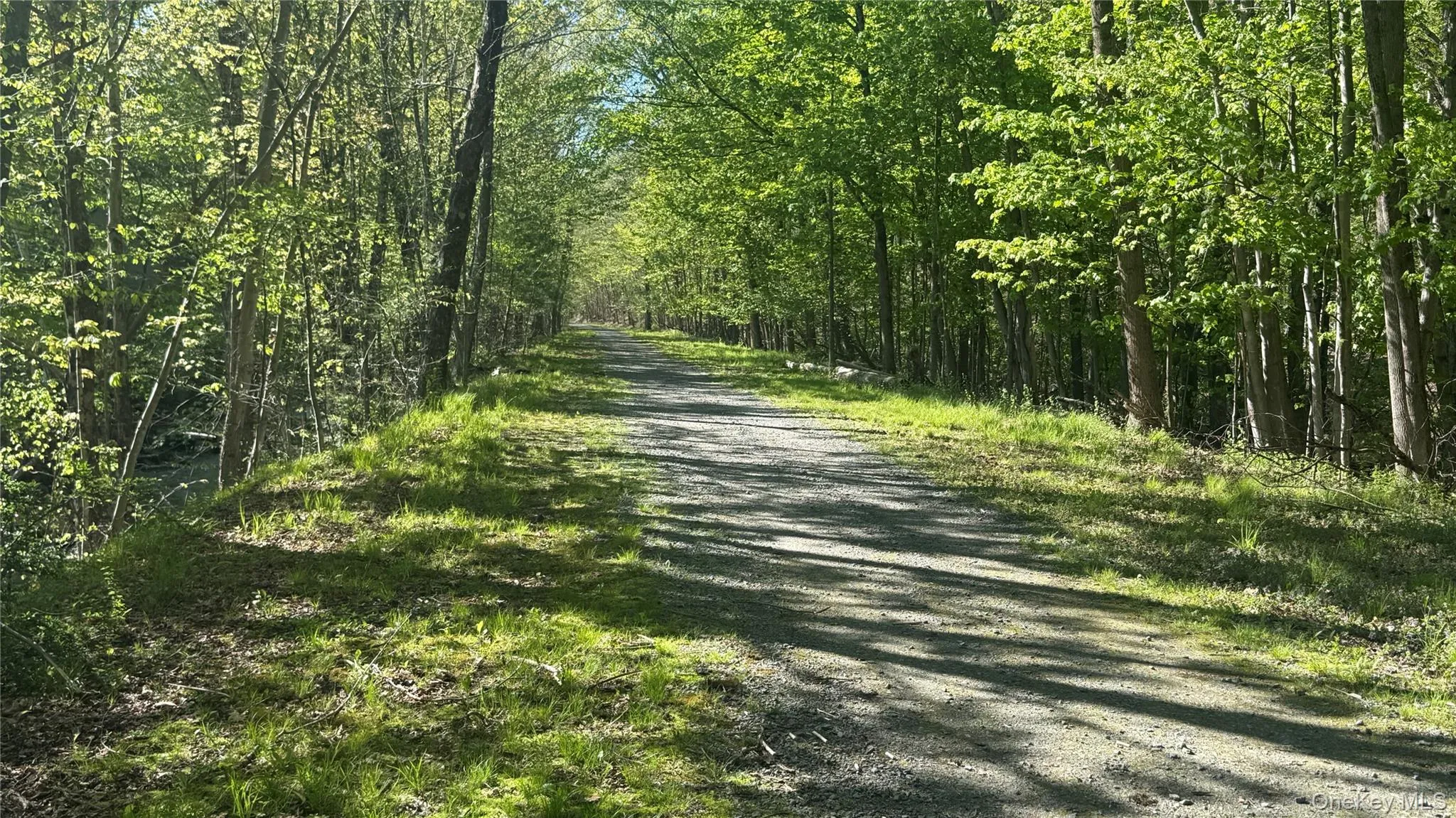 Rails to Trails right behind the house Rails to Trails right behind the house