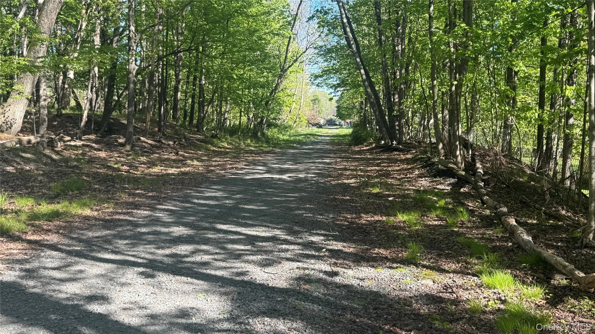 walk for miles in nature right behind the house walk for miles in nature right behind the house