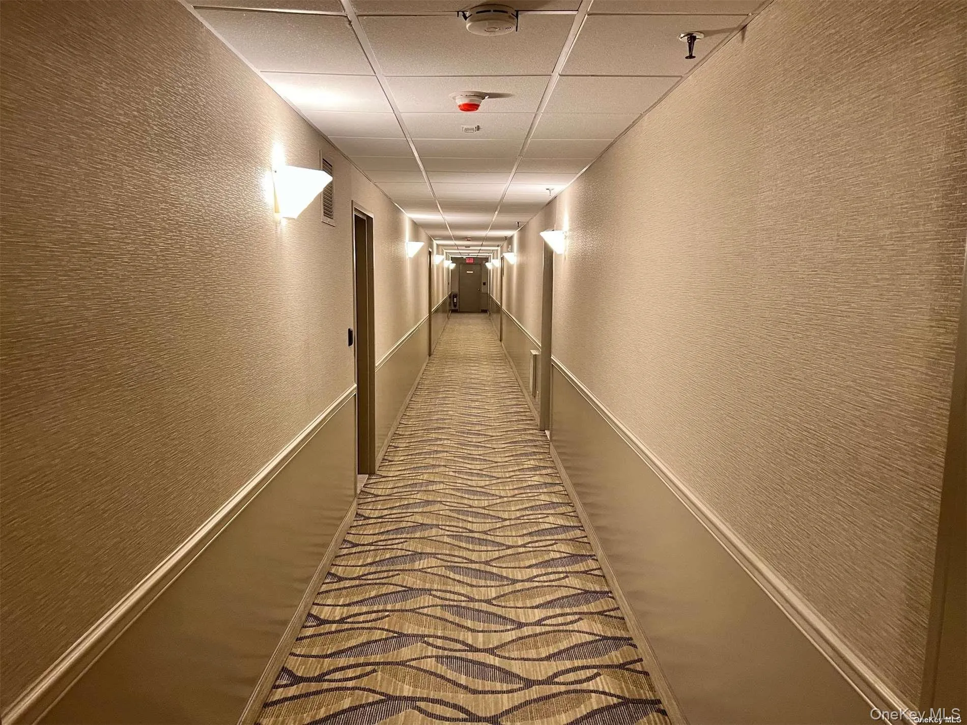 2 Richmond Road, Hempstead, NY, 1 Bedroom Bedrooms, 3 Rooms Rooms,1 BathroomBathrooms,Residential Lease,For Rent,Richmond,0,997667 2 Richmond Road, Hempstead, NY, 1 Bedroom Bedrooms, 3 Rooms Rooms,1 BathroomBathrooms,Residential Lease,For Rent,Richmond,0,997667