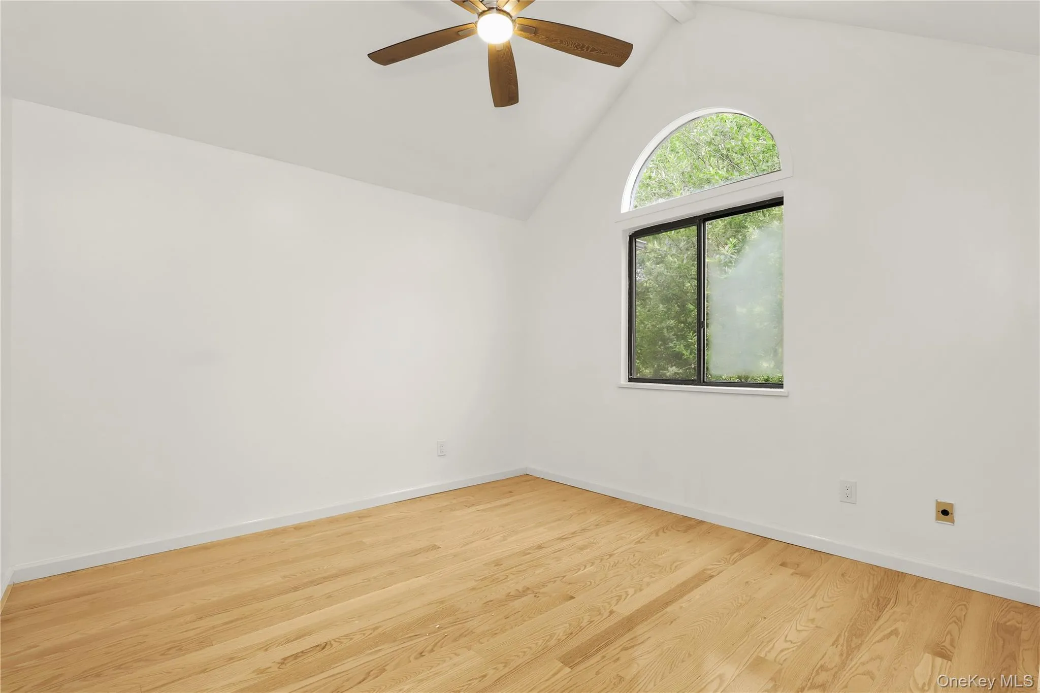 Unfurnished room with ceiling fan, wood finished floors, baseboards, and high vaulted ceiling Unfurnished room with ceiling fan, wood finished floors, baseboards, and high vaulted ceiling