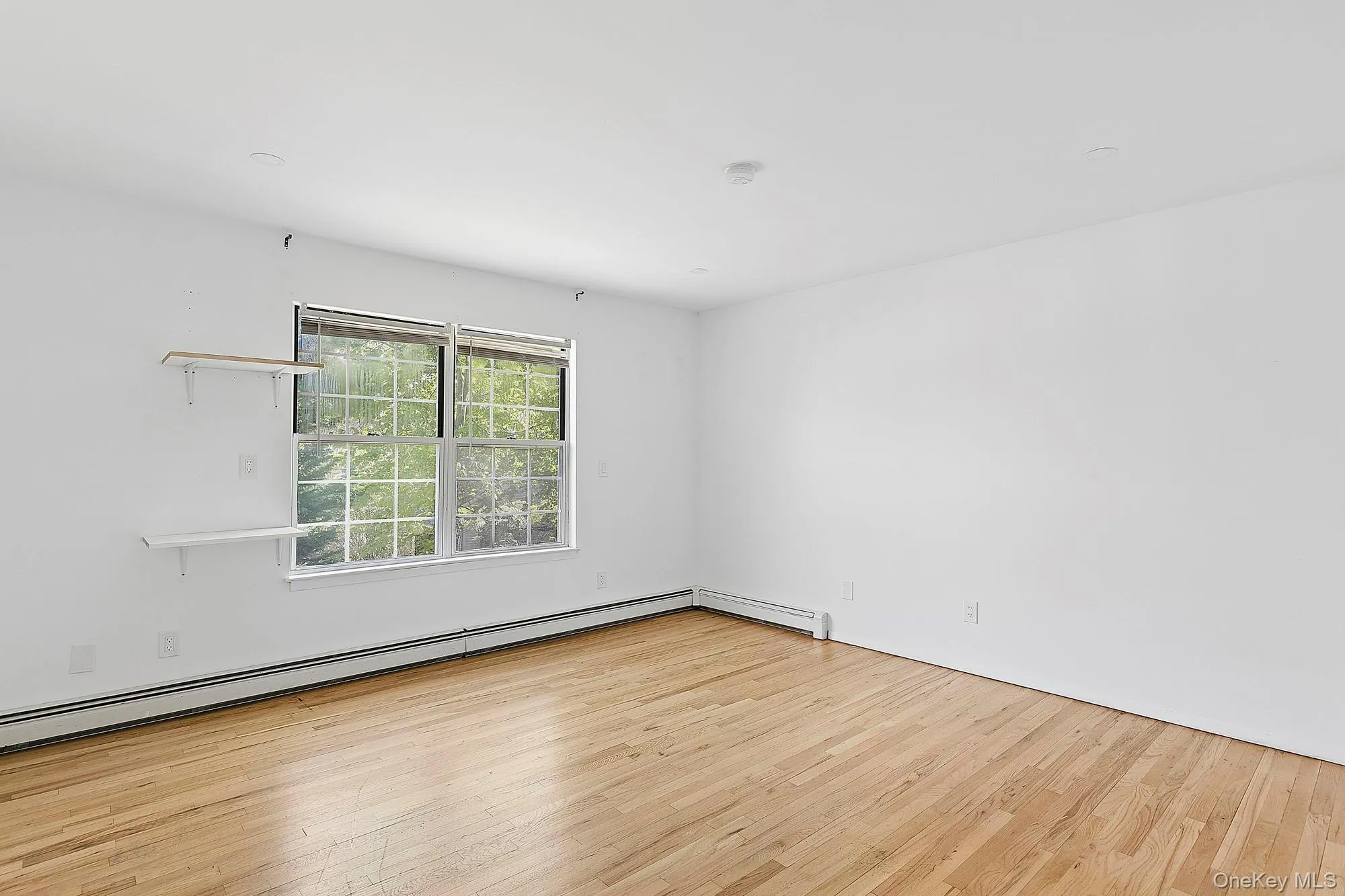 65 16th Street, Riverhead, NY, 5 Bedrooms Bedrooms, 10 Rooms Rooms,2 BathroomsBathrooms,Residential Lease,For Rent,16th,0,997707 65 16th Street, Riverhead, NY, 5 Bedrooms Bedrooms, 10 Rooms Rooms,2 BathroomsBathrooms,Residential Lease,For Rent,16th,0,997707