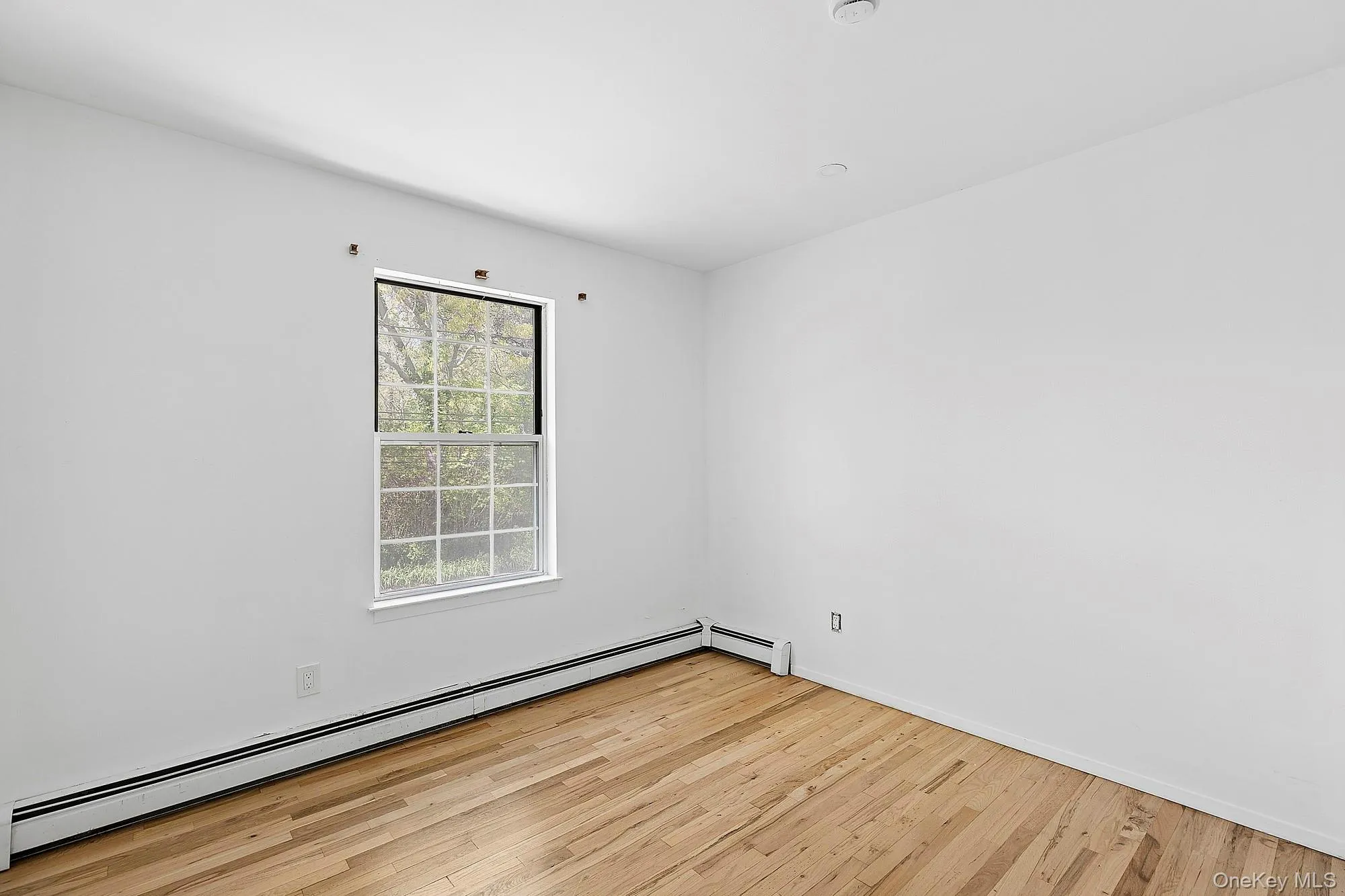 65 16th Street, Riverhead, NY, 5 Bedrooms Bedrooms, 10 Rooms Rooms,2 BathroomsBathrooms,Residential Lease,For Rent,16th,0,997707 65 16th Street, Riverhead, NY, 5 Bedrooms Bedrooms, 10 Rooms Rooms,2 BathroomsBathrooms,Residential Lease,For Rent,16th,0,997707