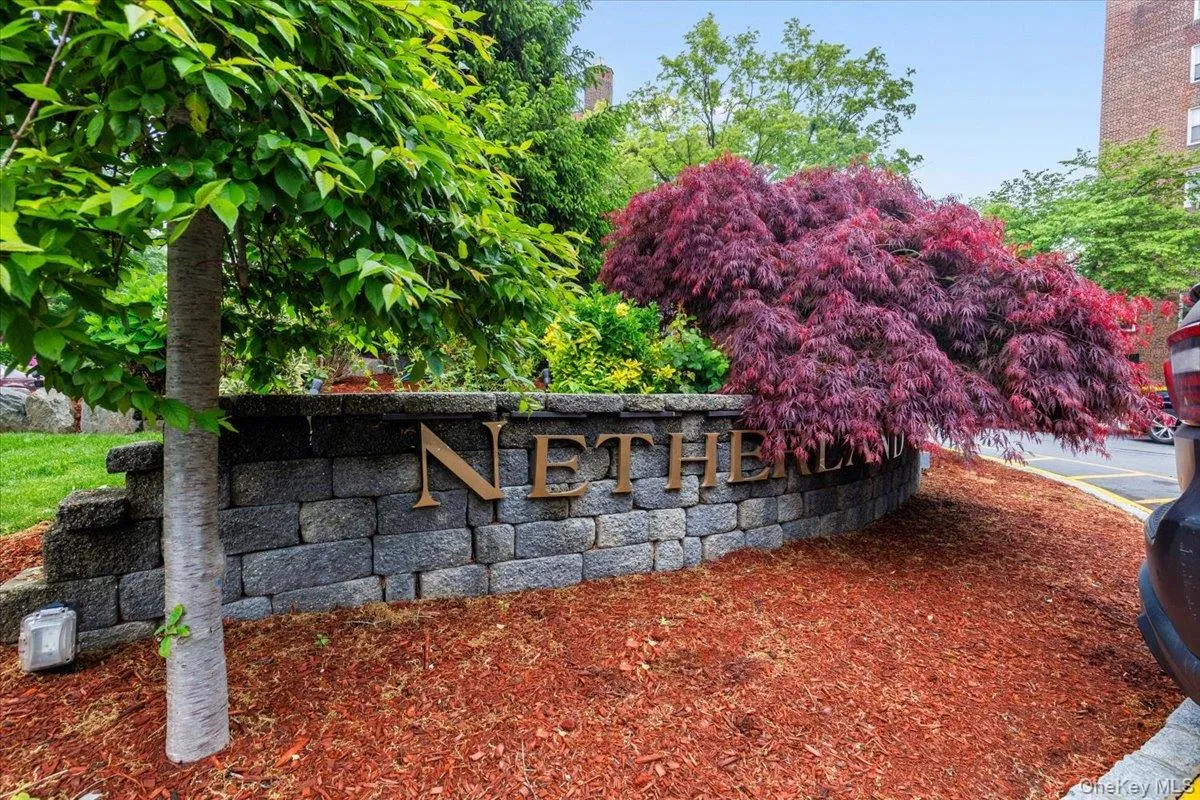 5645 Netherland Avenue, New York, NY, 1 Bedroom Bedrooms, 3 Rooms Rooms,1 BathroomBathrooms,Residential Sale,For Rent,Netherland,0,997724 5645 Netherland Avenue, New York, NY, 1 Bedroom Bedrooms, 3 Rooms Rooms,1 BathroomBathrooms,Residential Sale,For Rent,Netherland,0,997724