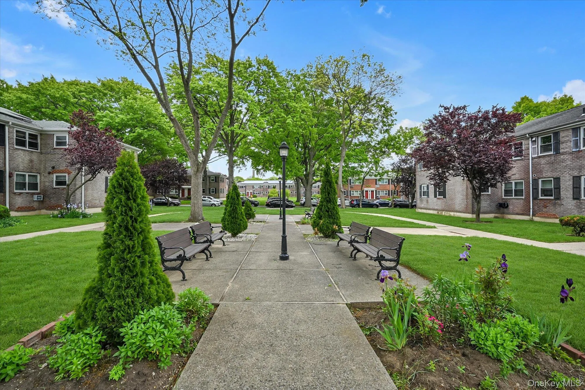 67-44 152nd Street, New York, NY, 1 Bedroom Bedrooms, 4 Rooms Rooms,1 BathroomBathrooms,Residential,For Rent,152nd,0,997754 67-44 152nd Street, New York, NY, 1 Bedroom Bedrooms, 4 Rooms Rooms,1 BathroomBathrooms,Residential,For Rent,152nd,0,997754