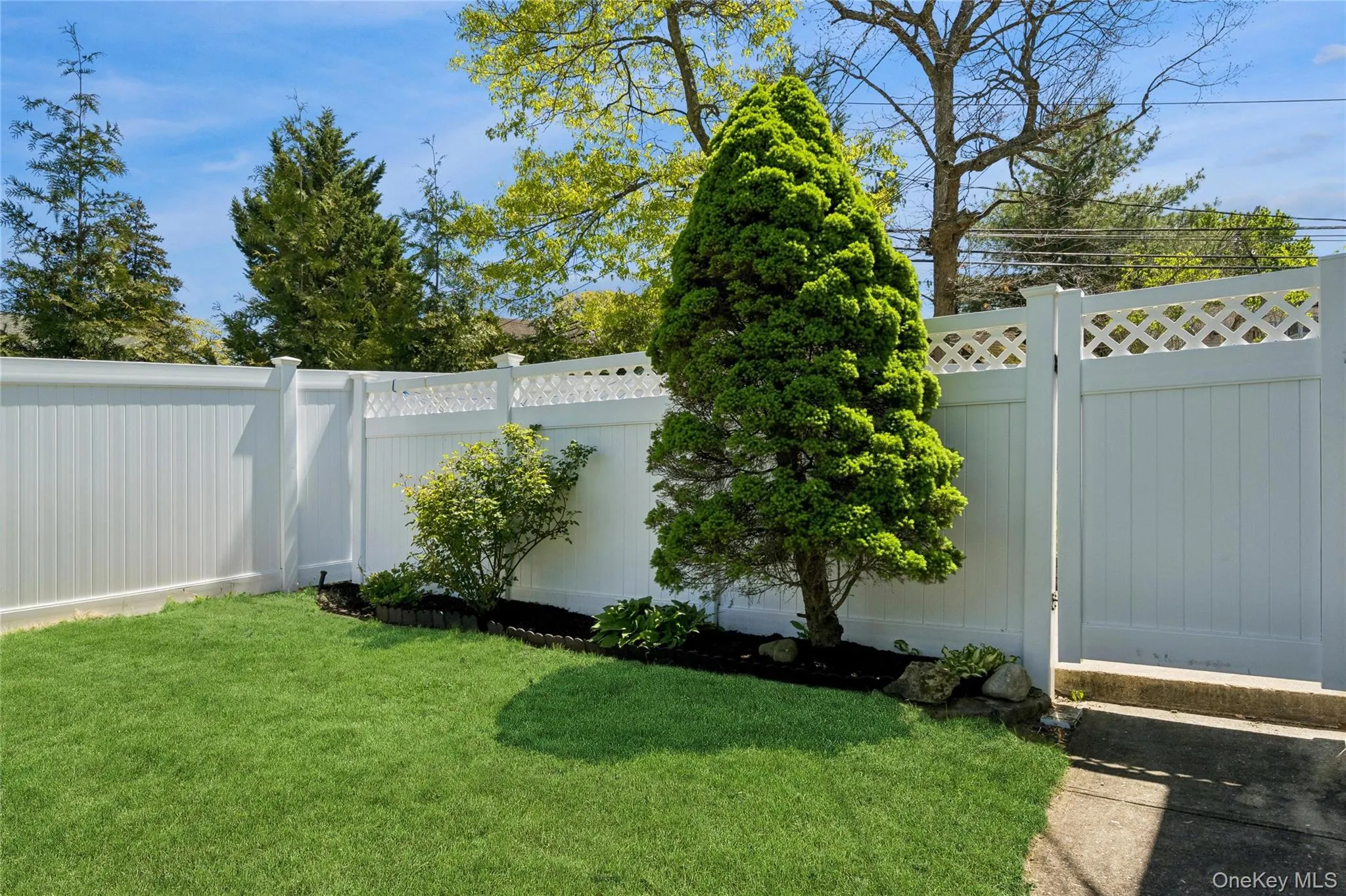 yard yard