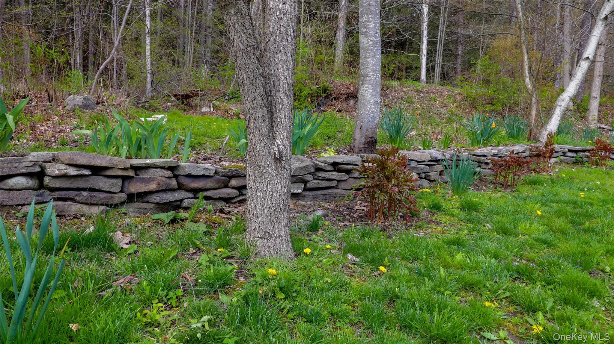 Natural stone retaining wall defining a garden area Natural stone retaining wall defining a garden area