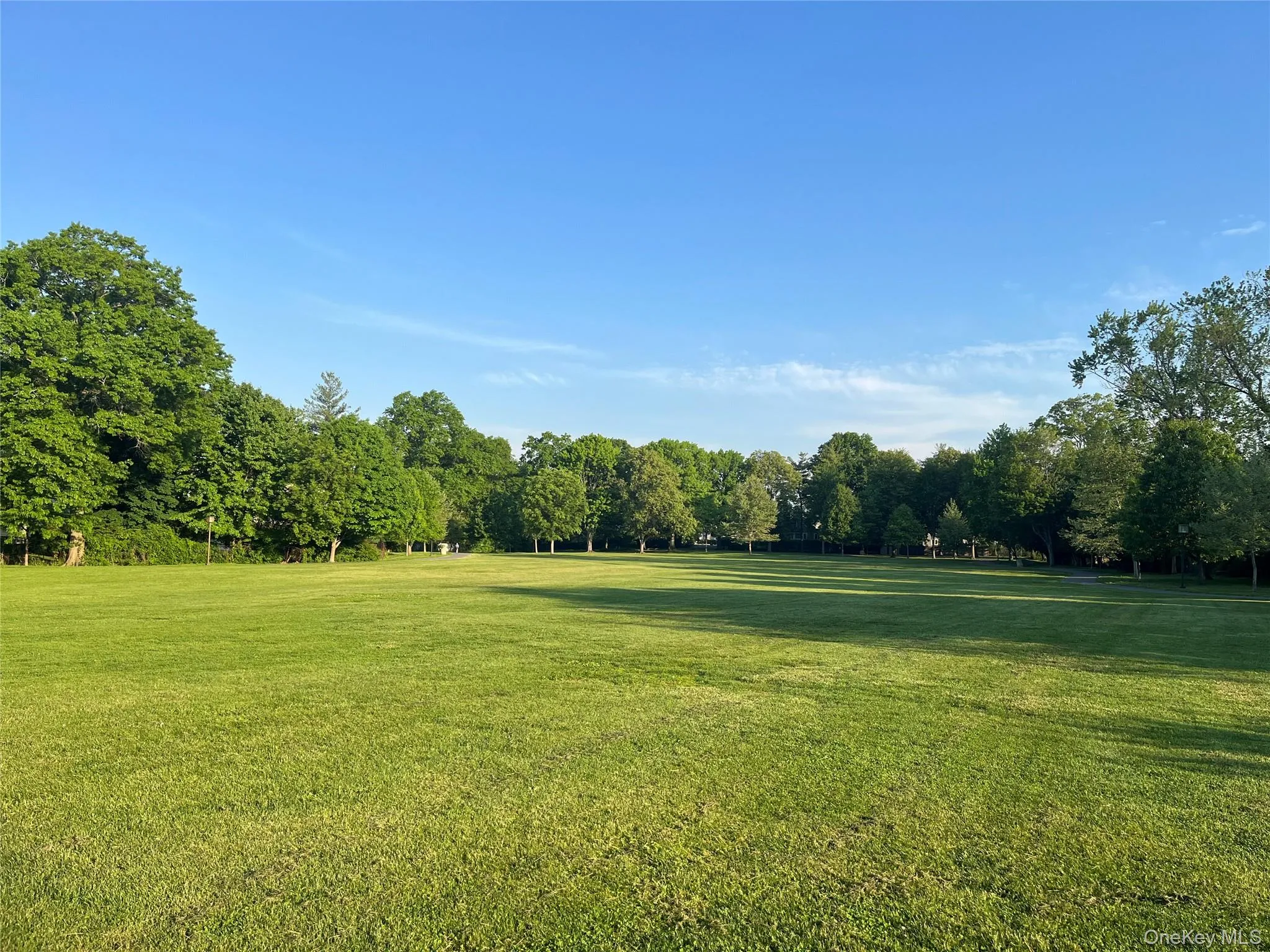 1001 Halstead Avenue, Rye Town, NY, 2 Bedrooms Bedrooms, 5 Rooms Rooms,1 BathroomBathrooms,Residential,For Rent,Halstead,0,997788 1001 Halstead Avenue, Rye Town, NY, 2 Bedrooms Bedrooms, 5 Rooms Rooms,1 BathroomBathrooms,Residential,For Rent,Halstead,0,997788