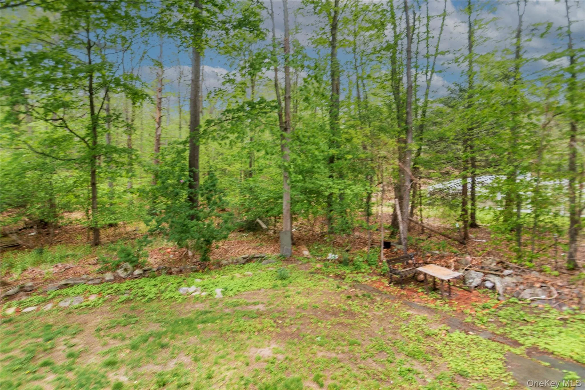 rear yard rear yard