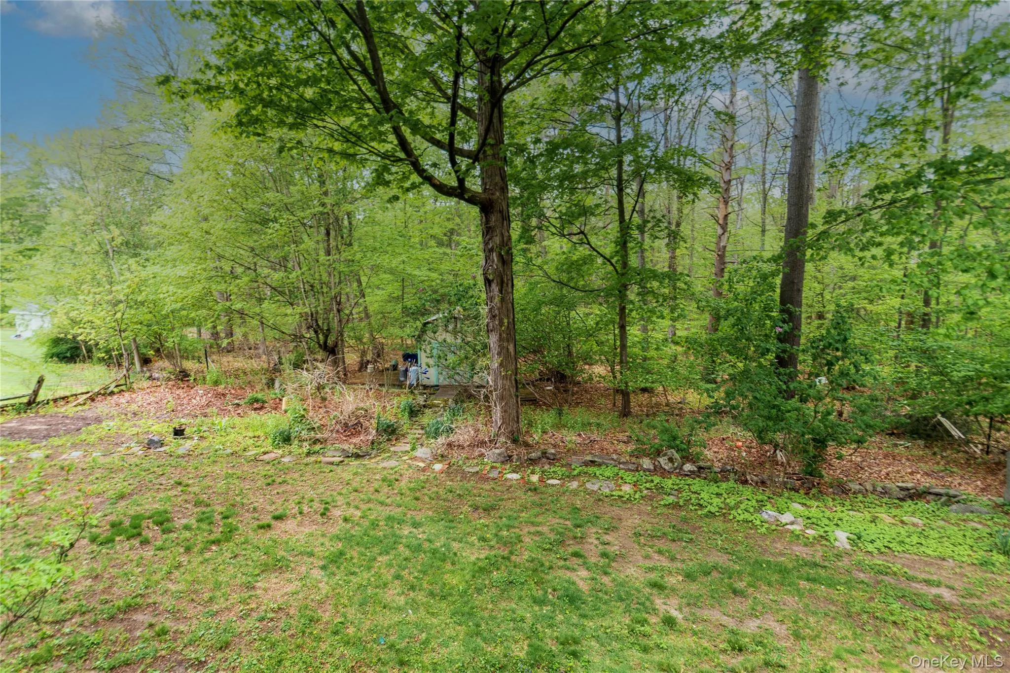 rear yard with shed included rear yard with shed included
