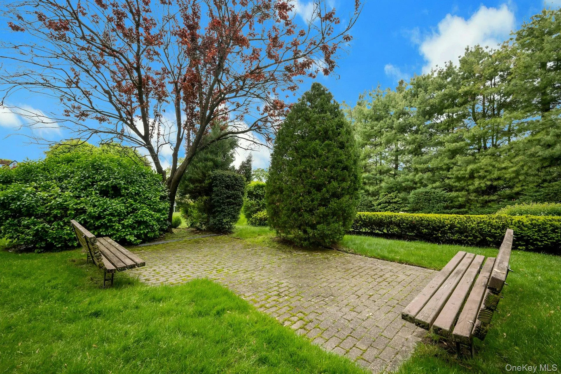 43 Calton Road, New Rochelle, NY, 2 Bedrooms Bedrooms, 4 Rooms Rooms,1 BathroomBathrooms,Residential,For Rent,Calton,0,997800 43 Calton Road, New Rochelle, NY, 2 Bedrooms Bedrooms, 4 Rooms Rooms,1 BathroomBathrooms,Residential,For Rent,Calton,0,997800