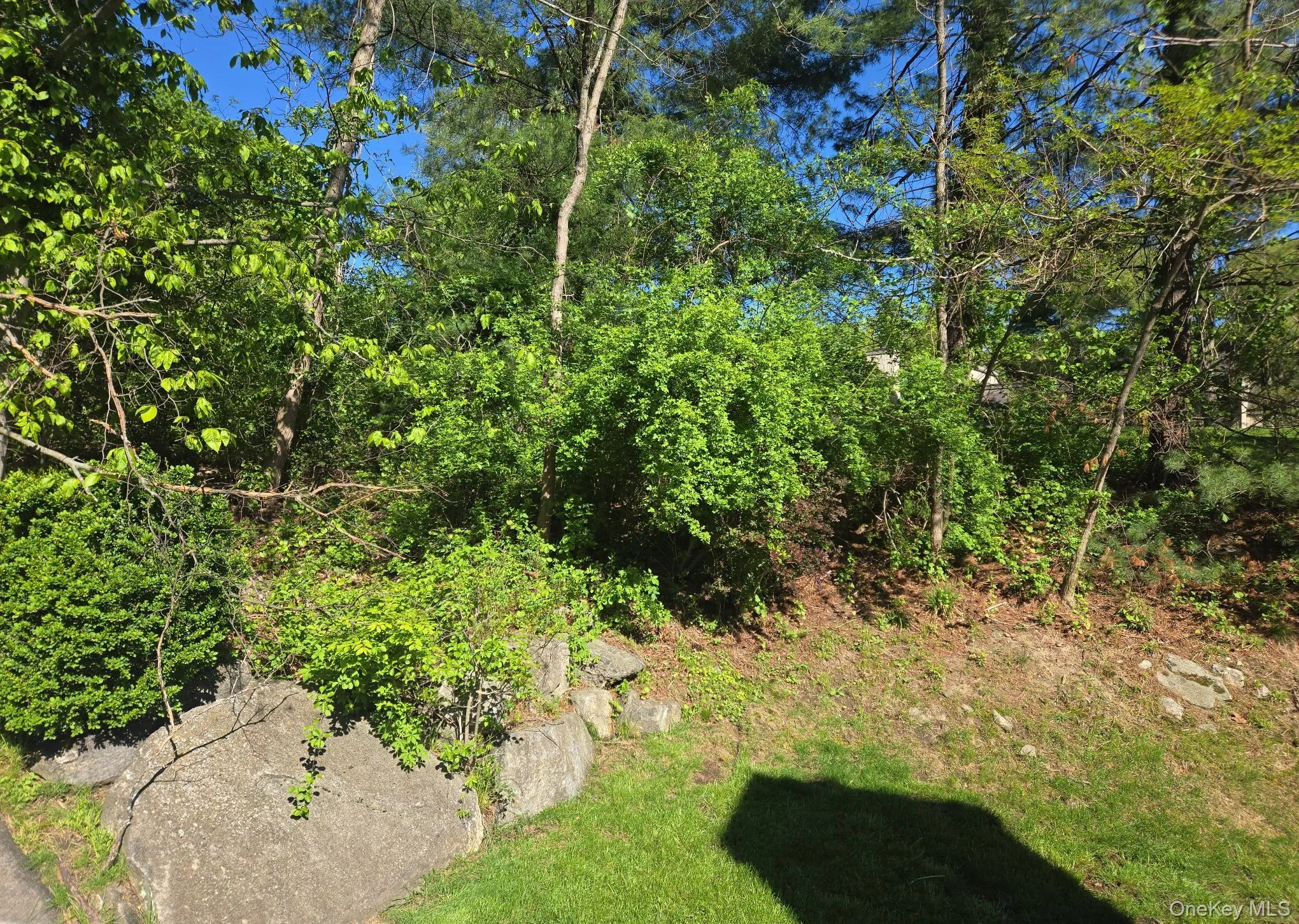 Yard area. Yard area.