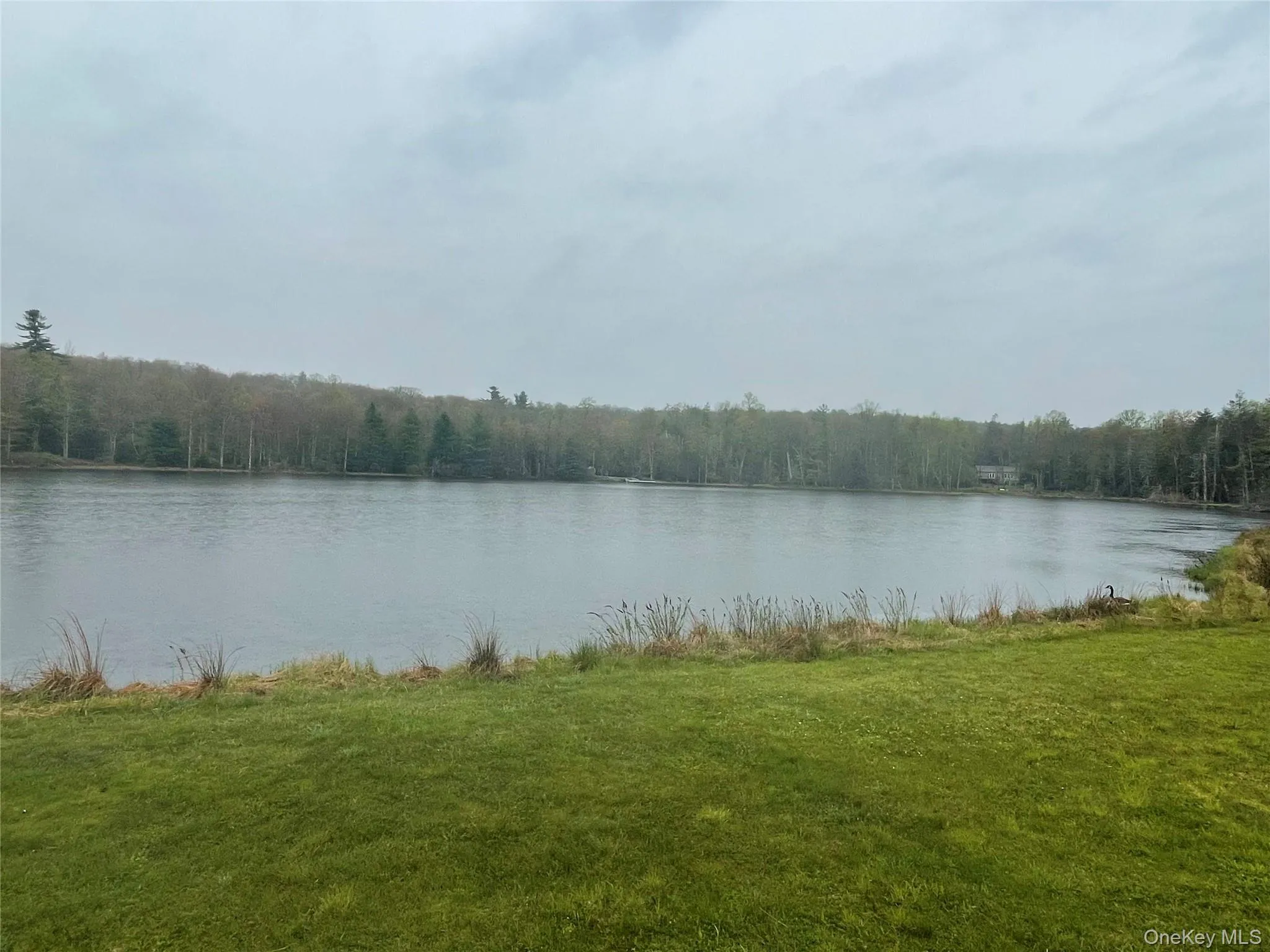 lot # 20 Pine Lake Drive, Mamakating, NY, ,Land,For Rent,Pine Lake,0,997856 lot # 20 Pine Lake Drive, Mamakating, NY, ,Land,For Rent,Pine Lake,0,997856