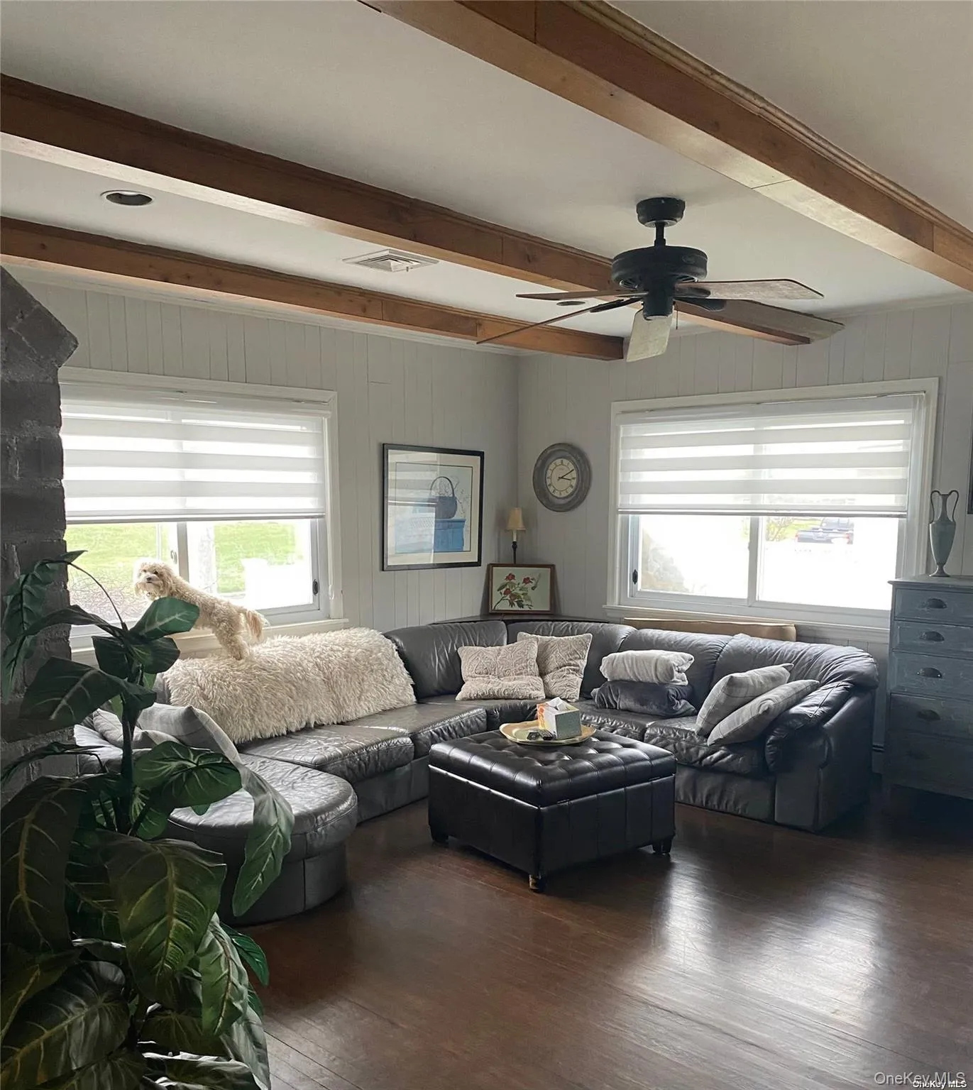 137 Acapulco Street, Hempstead, NY, 4 Bedrooms Bedrooms, 10 Rooms Rooms,3 BathroomsBathrooms,Residential Lease,For Rent,Acapulco,0,997857 137 Acapulco Street, Hempstead, NY, 4 Bedrooms Bedrooms, 10 Rooms Rooms,3 BathroomsBathrooms,Residential Lease,For Rent,Acapulco,0,997857
