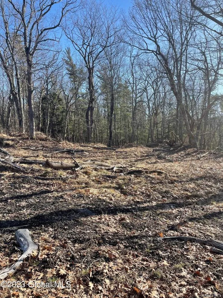 L26 & L27 Ecker Hollow Road, Cobleskill, NY, ,Land,For Rent,Ecker Hollow,0,997873 L26 & L27 Ecker Hollow Road, Cobleskill, NY, ,Land,For Rent,Ecker Hollow,0,997873