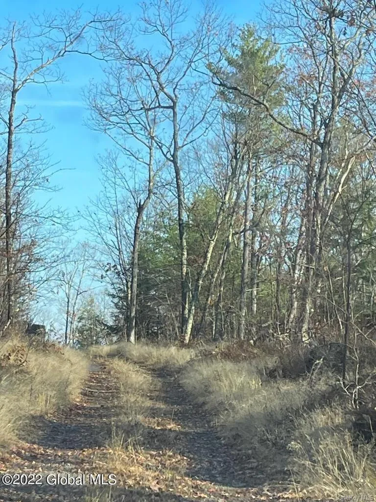 L26 & L27 Ecker Hollow Road, Cobleskill, NY, ,Land,For Rent,Ecker Hollow,0,997873 L26 & L27 Ecker Hollow Road, Cobleskill, NY, ,Land,For Rent,Ecker Hollow,0,997873