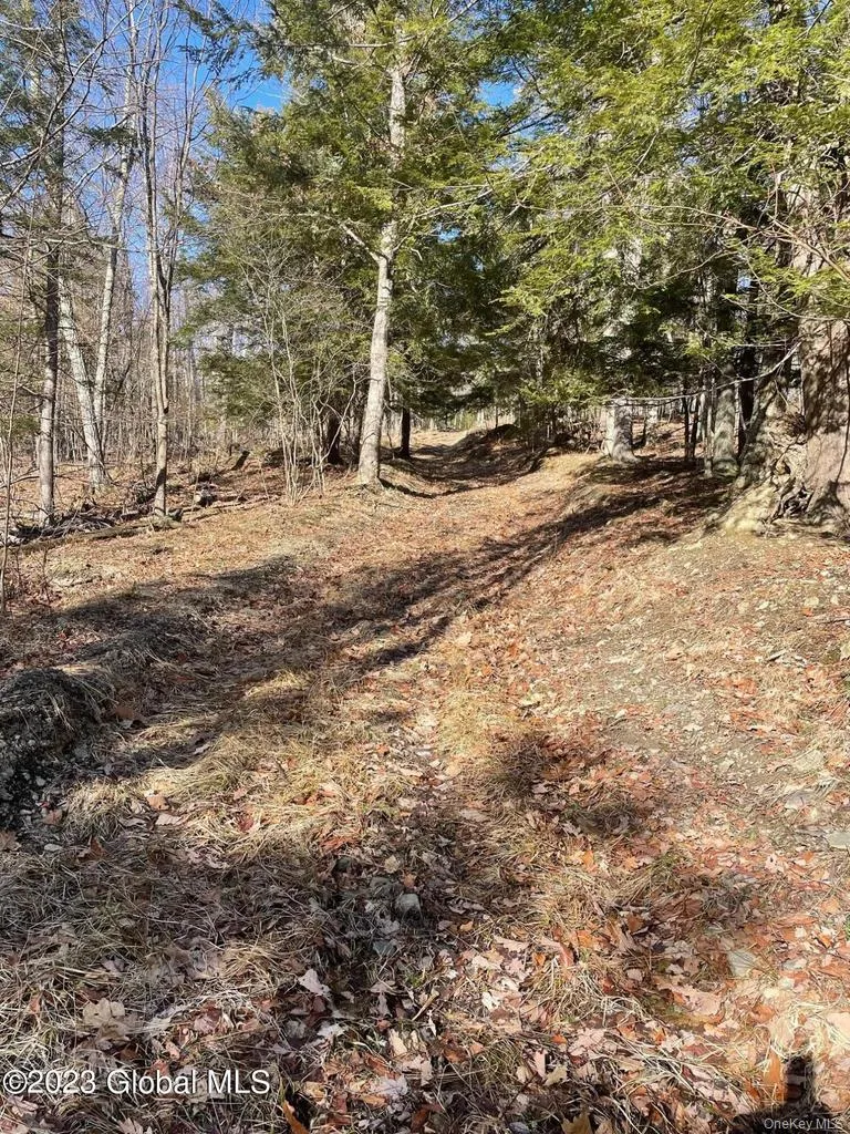 L26 & L27 Ecker Hollow Road, Cobleskill, NY, ,Land,For Rent,Ecker Hollow,0,997873 L26 & L27 Ecker Hollow Road, Cobleskill, NY, ,Land,For Rent,Ecker Hollow,0,997873