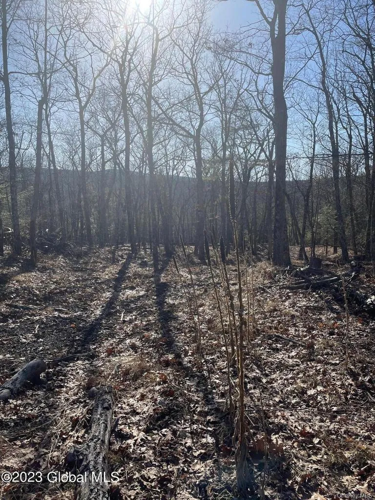 L26 & L27 Ecker Hollow Road, Cobleskill, NY, ,Land,For Rent,Ecker Hollow,0,997873 L26 & L27 Ecker Hollow Road, Cobleskill, NY, ,Land,For Rent,Ecker Hollow,0,997873