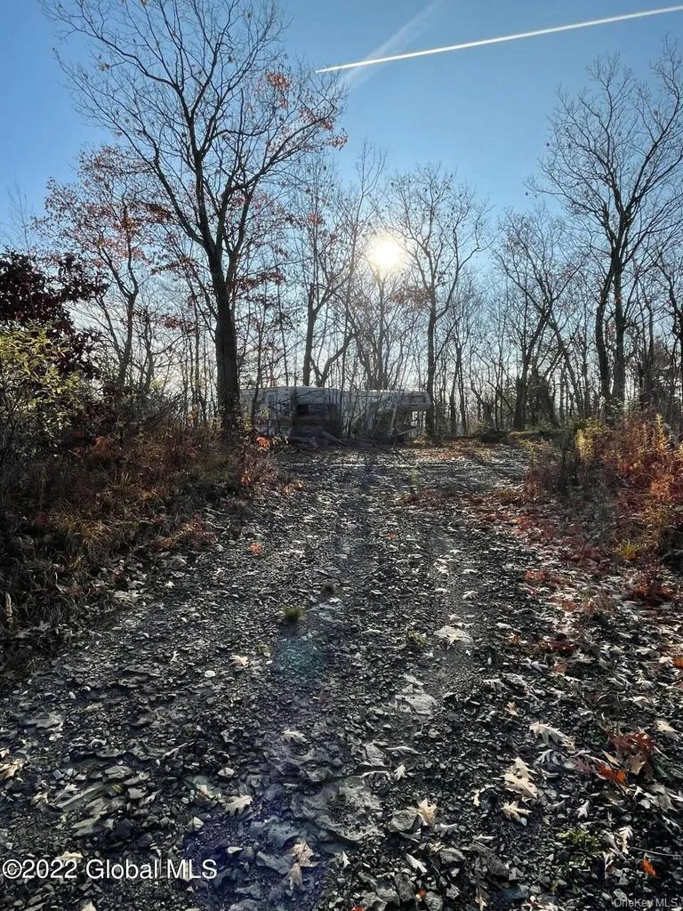 L26 & L27 Ecker Hollow Road, Cobleskill, NY, ,Land,For Rent,Ecker Hollow,0,997873 L26 & L27 Ecker Hollow Road, Cobleskill, NY, ,Land,For Rent,Ecker Hollow,0,997873