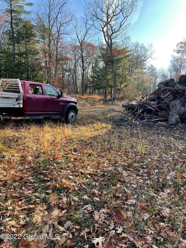 L26 & L27 Ecker Hollow Road, Cobleskill, NY, ,Land,For Rent,Ecker Hollow,0,997873 L26 & L27 Ecker Hollow Road, Cobleskill, NY, ,Land,For Rent,Ecker Hollow,0,997873