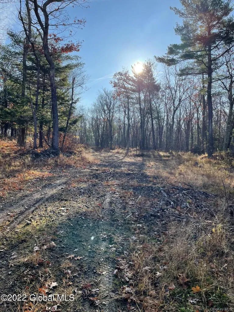 L26 & L27 Ecker Hollow Road, Cobleskill, NY, ,Land,For Rent,Ecker Hollow,0,997873 L26 & L27 Ecker Hollow Road, Cobleskill, NY, ,Land,For Rent,Ecker Hollow,0,997873