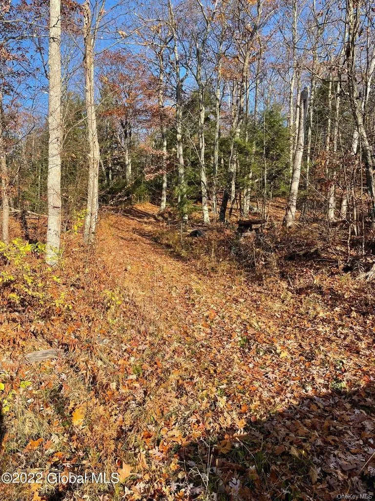 L26 & L27 Ecker Hollow Road, Cobleskill, NY, ,Land,For Rent,Ecker Hollow,0,997873 L26 & L27 Ecker Hollow Road, Cobleskill, NY, ,Land,For Rent,Ecker Hollow,0,997873