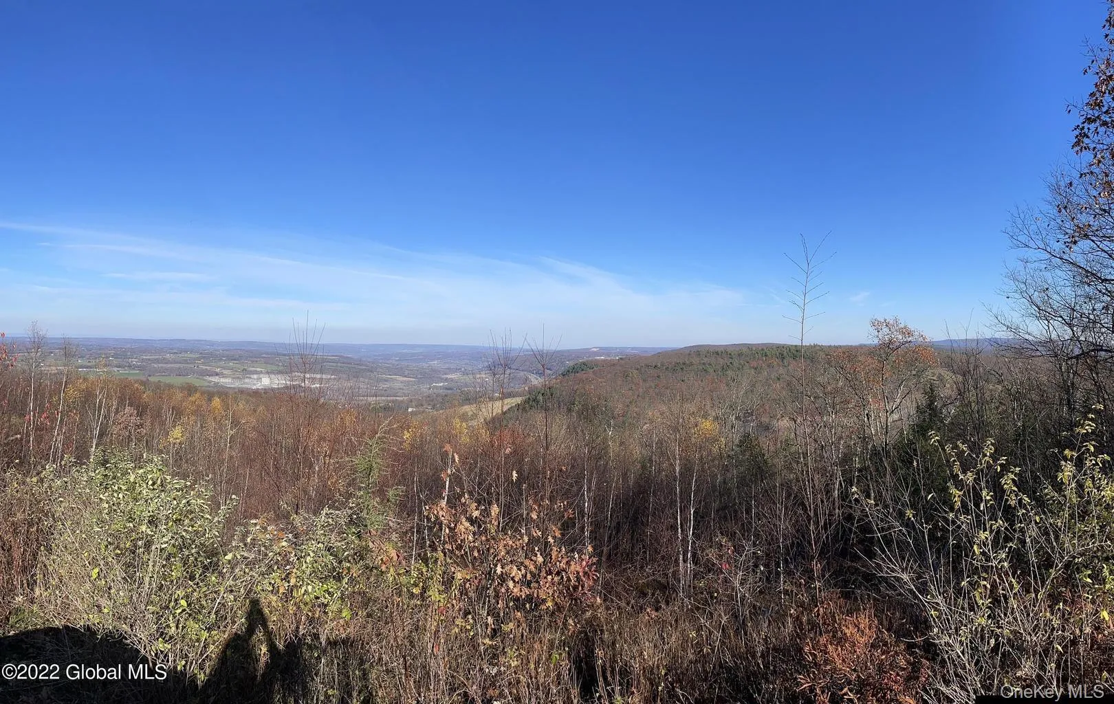 L26 & L27 Ecker Hollow Road, Cobleskill, NY, ,Land,For Rent,Ecker Hollow,0,997873 L26 & L27 Ecker Hollow Road, Cobleskill, NY, ,Land,For Rent,Ecker Hollow,0,997873