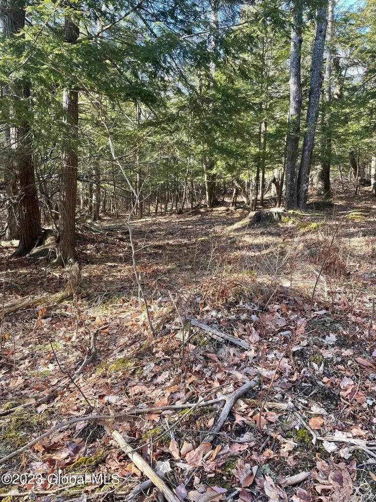 L26 & L27 Ecker Hollow Road, Cobleskill, NY, ,Land,For Rent,Ecker Hollow,0,997873 L26 & L27 Ecker Hollow Road, Cobleskill, NY, ,Land,For Rent,Ecker Hollow,0,997873