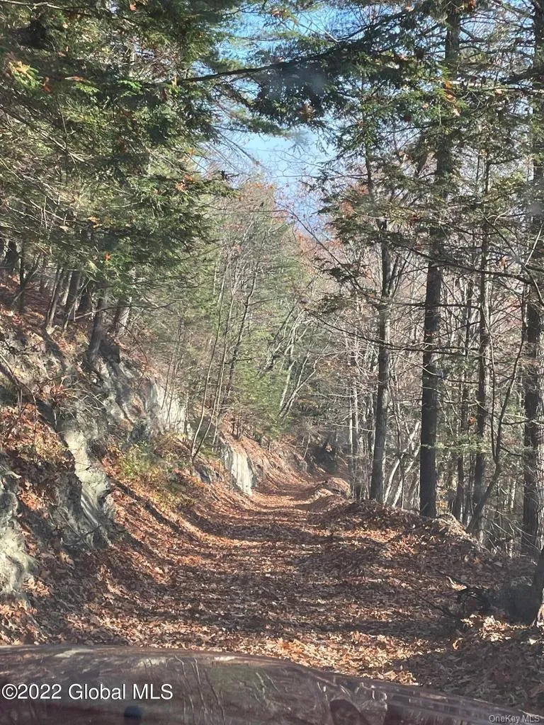 L26 & L27 Ecker Hollow Road, Cobleskill, NY, ,Land,For Rent,Ecker Hollow,0,997873 L26 & L27 Ecker Hollow Road, Cobleskill, NY, ,Land,For Rent,Ecker Hollow,0,997873